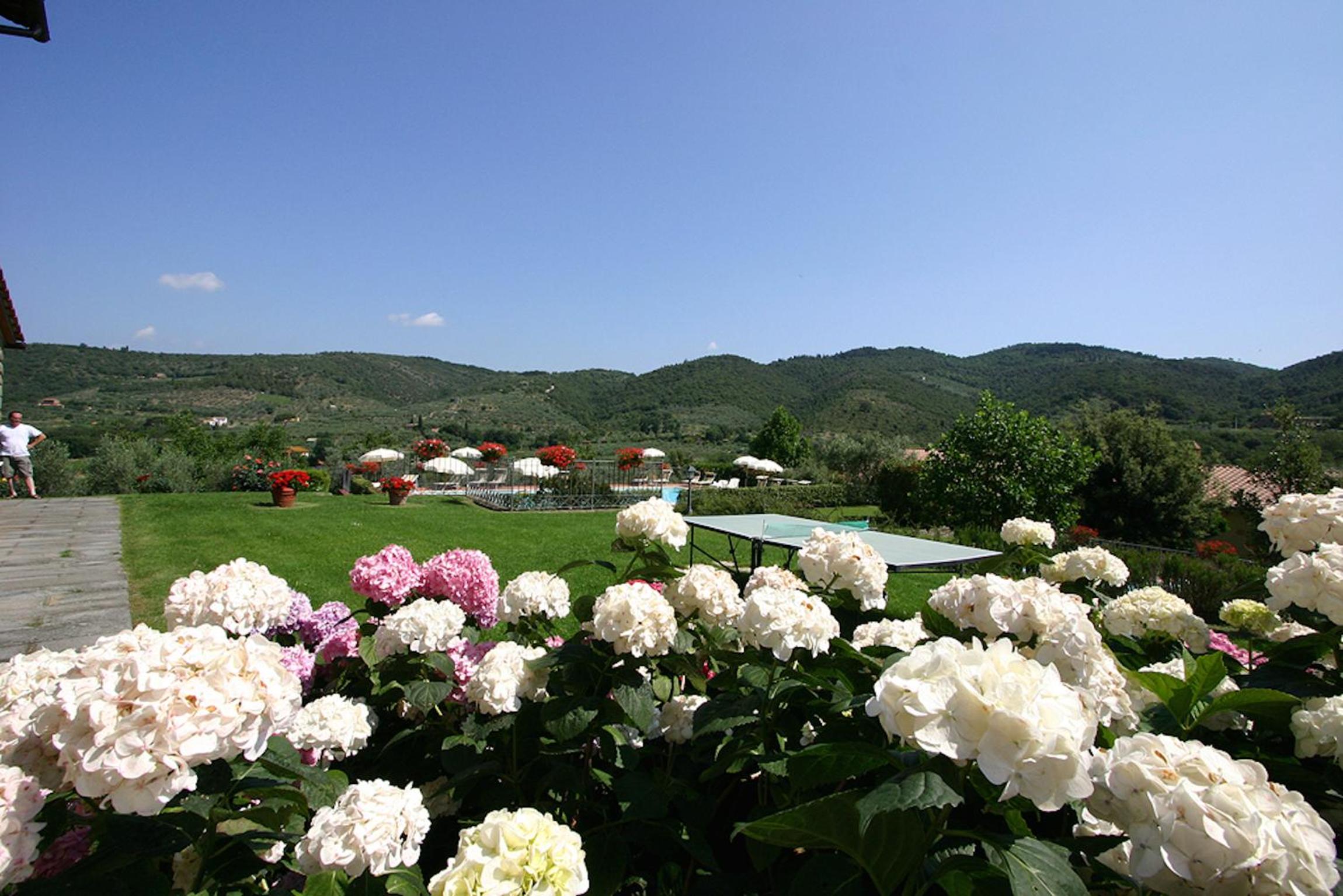 Photo 42