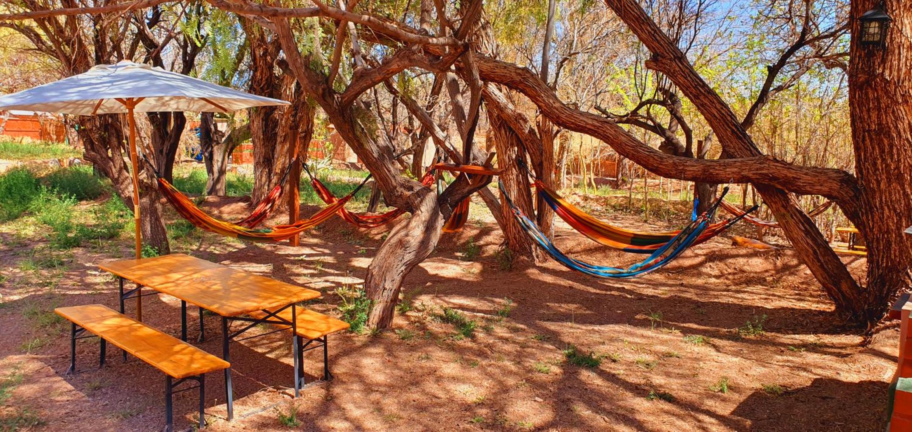 Lodge Ancar Atacama