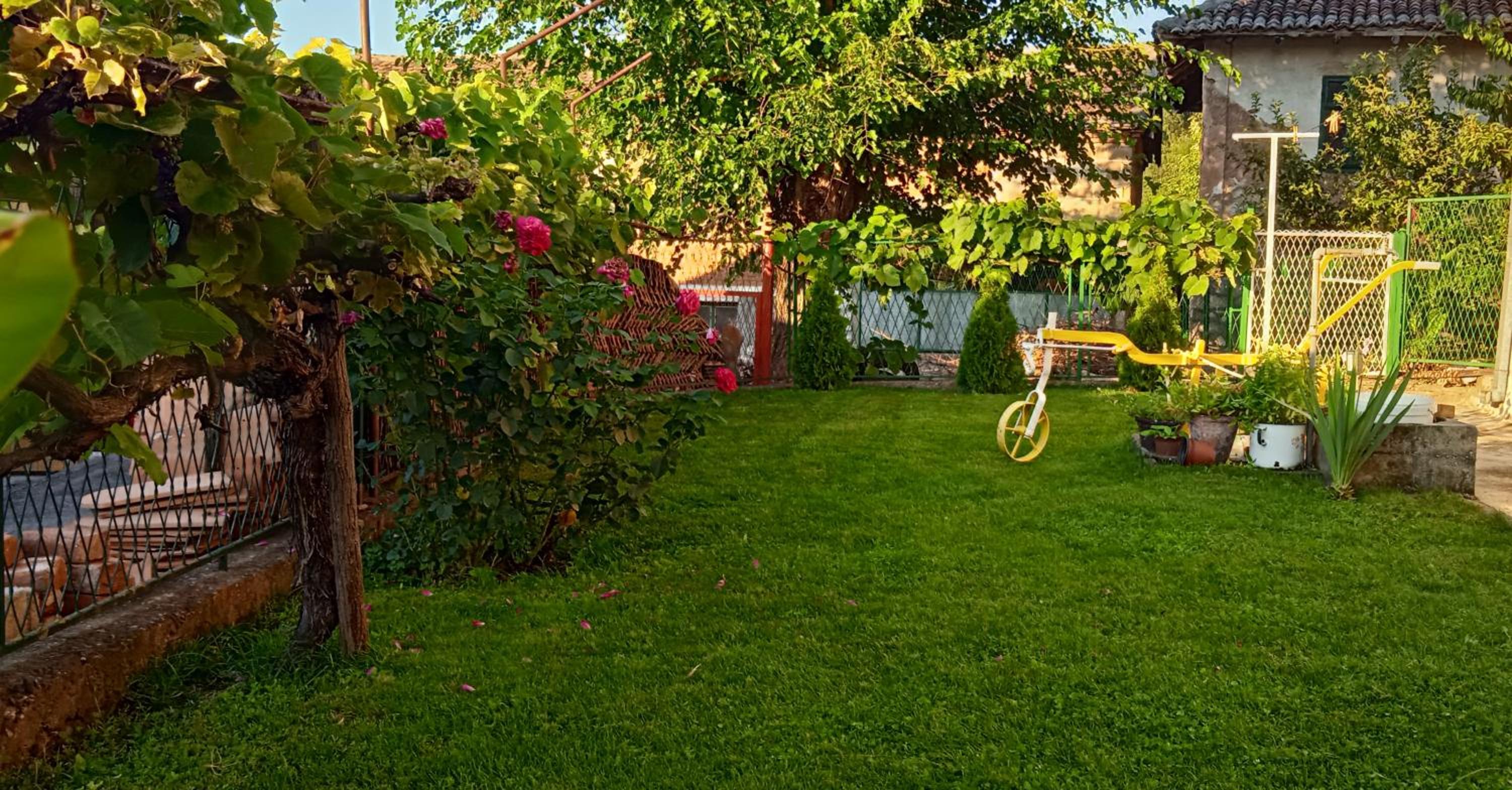 Apartman STOJANOVIĆ view 4