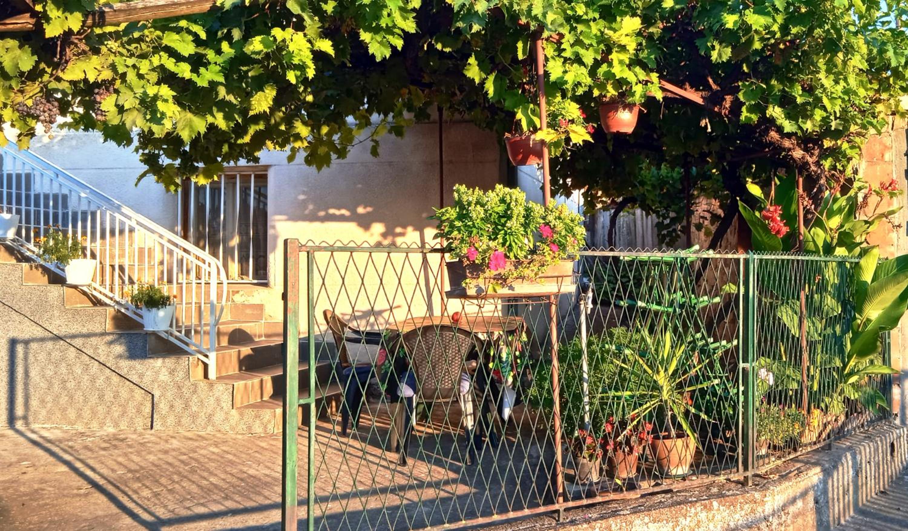 Apartman STOJANOVIĆ view 3