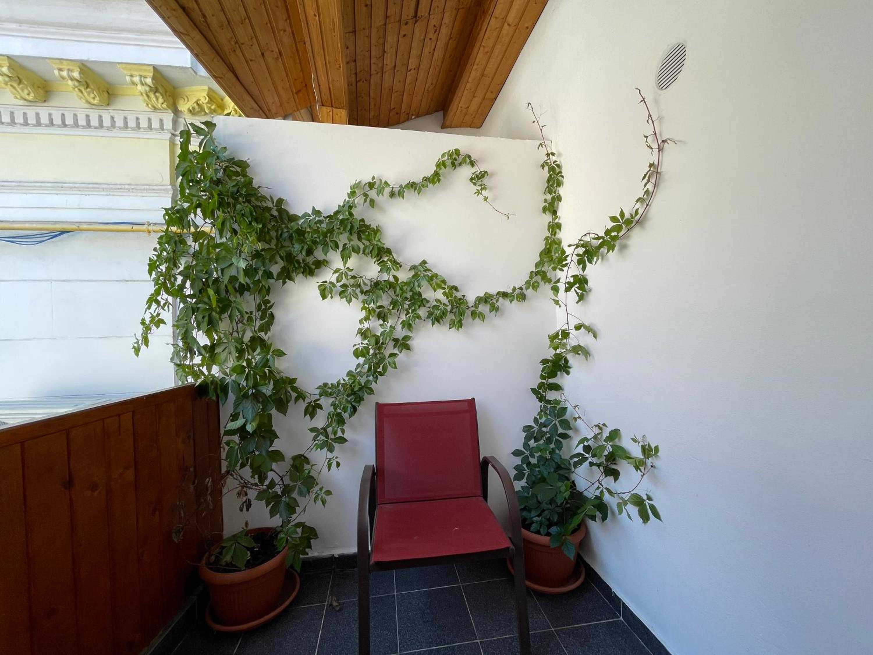 Piata Uniri Cozy Inn
