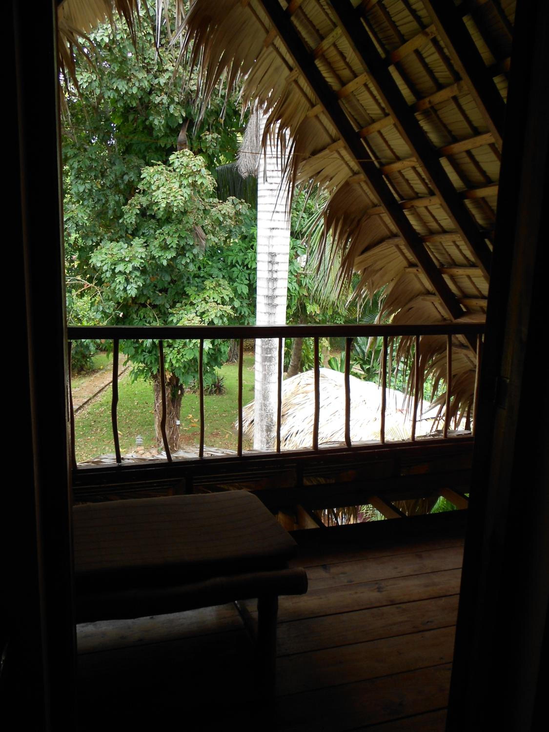 Casa 3 amigos-Palm roofed house view 3