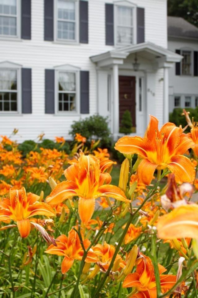 New York City Vacations - Scranton Seahorse Inn - Property Image 21