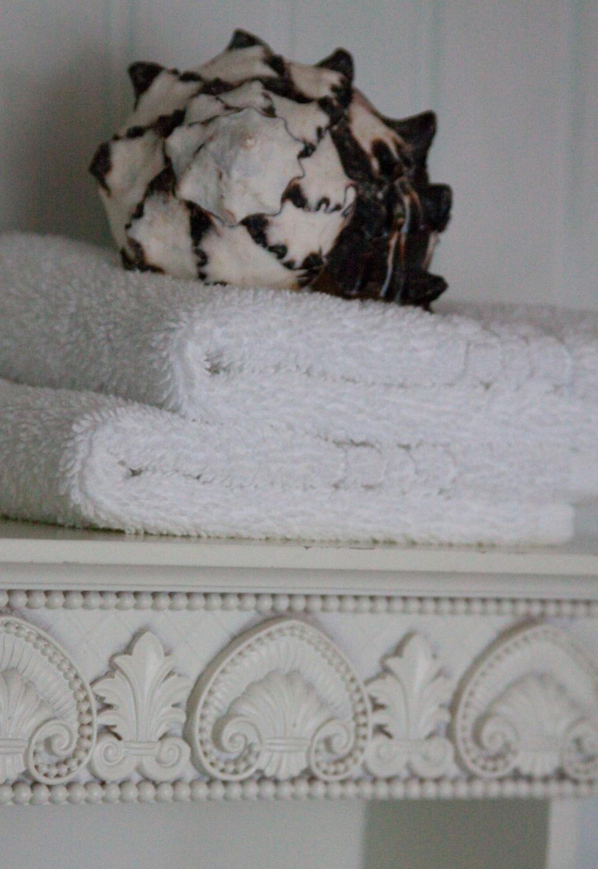 New York City Vacations - Scranton Seahorse Inn - Property Image 20