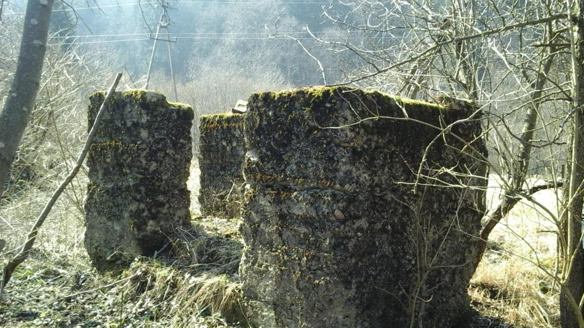 Photo 61