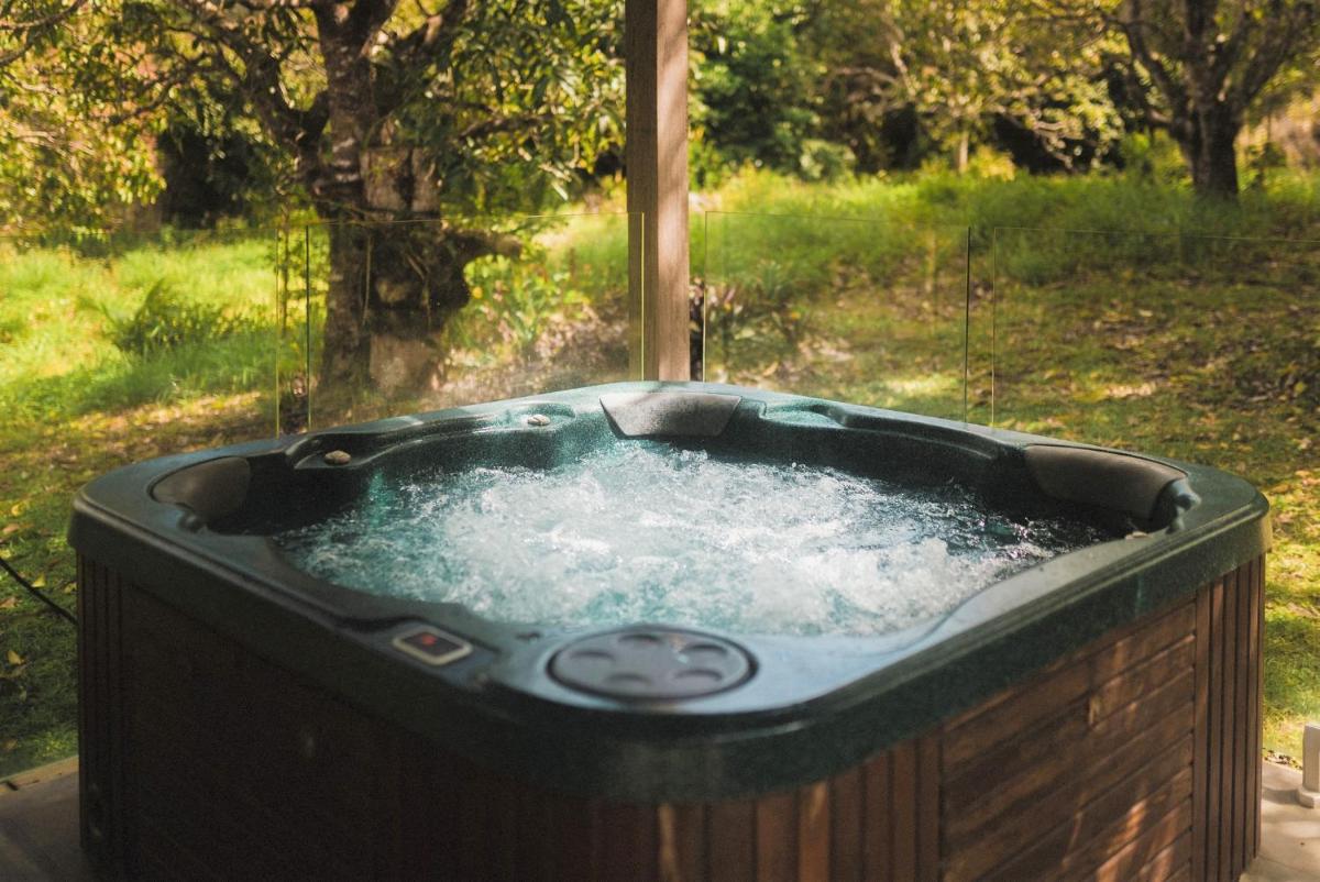 Palm Grove Rainforest Retreat