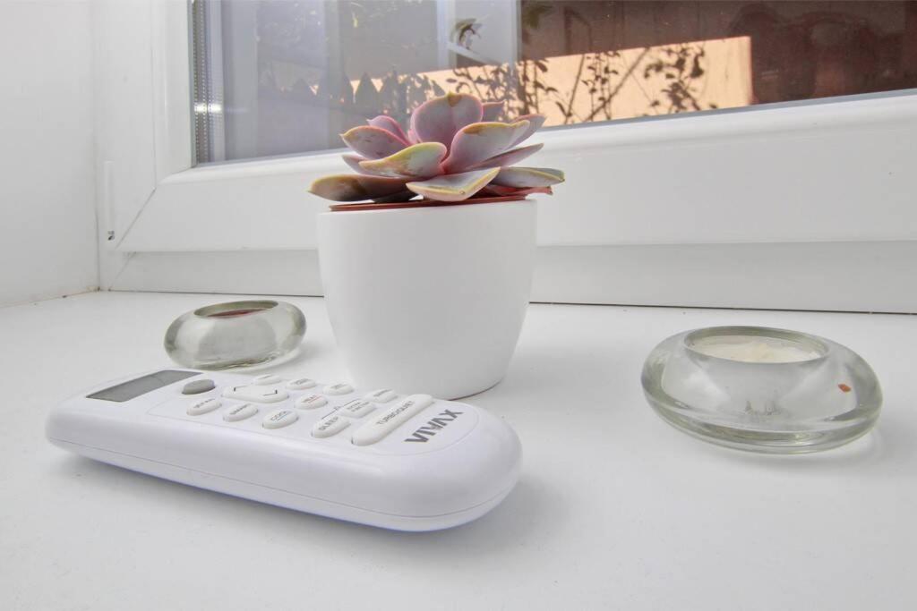 Morich apartment in the heart of Old town with garden view 3