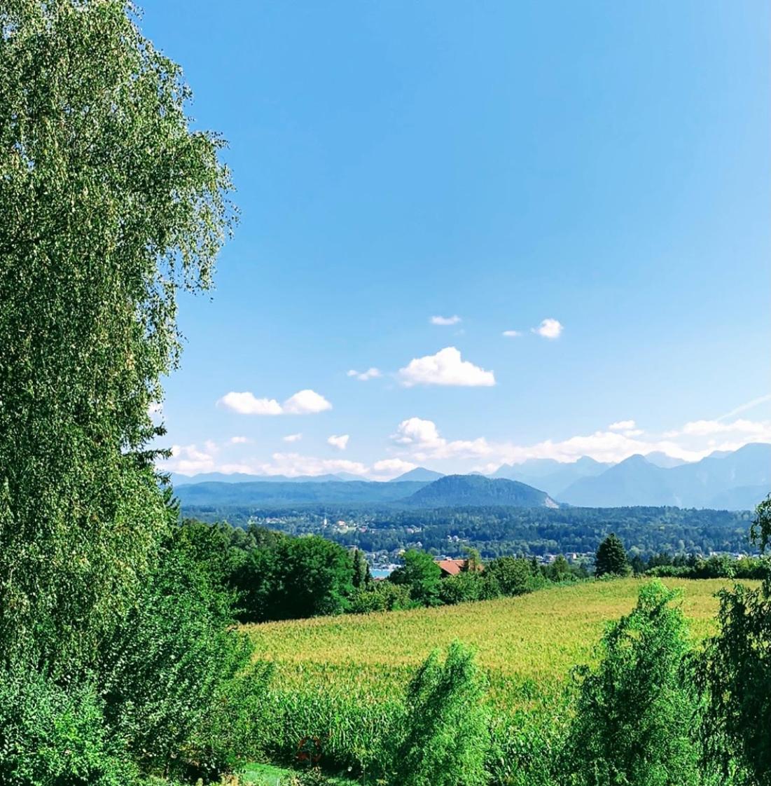 Schwalbennest Velden view 3