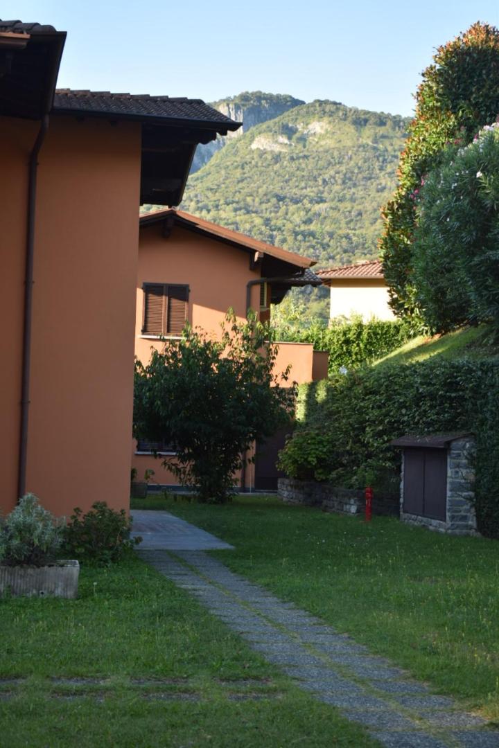 Landscapesilvia PT Terra view 3