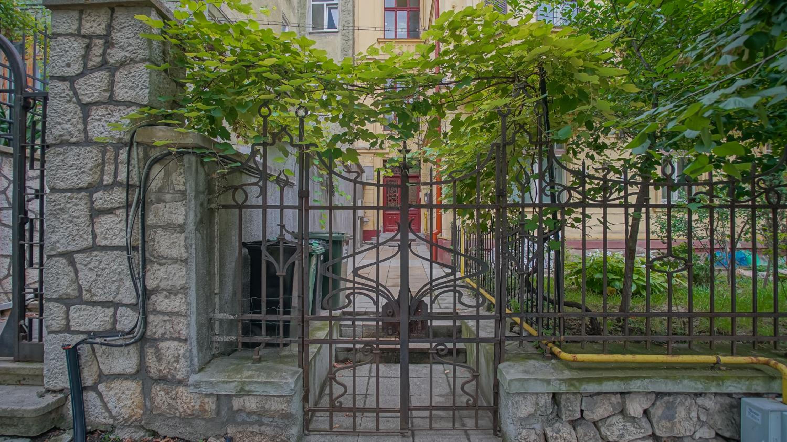 Photo 21