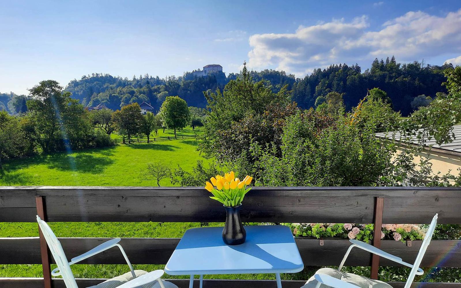Deerwood-Large Villa relax with castle view view 5