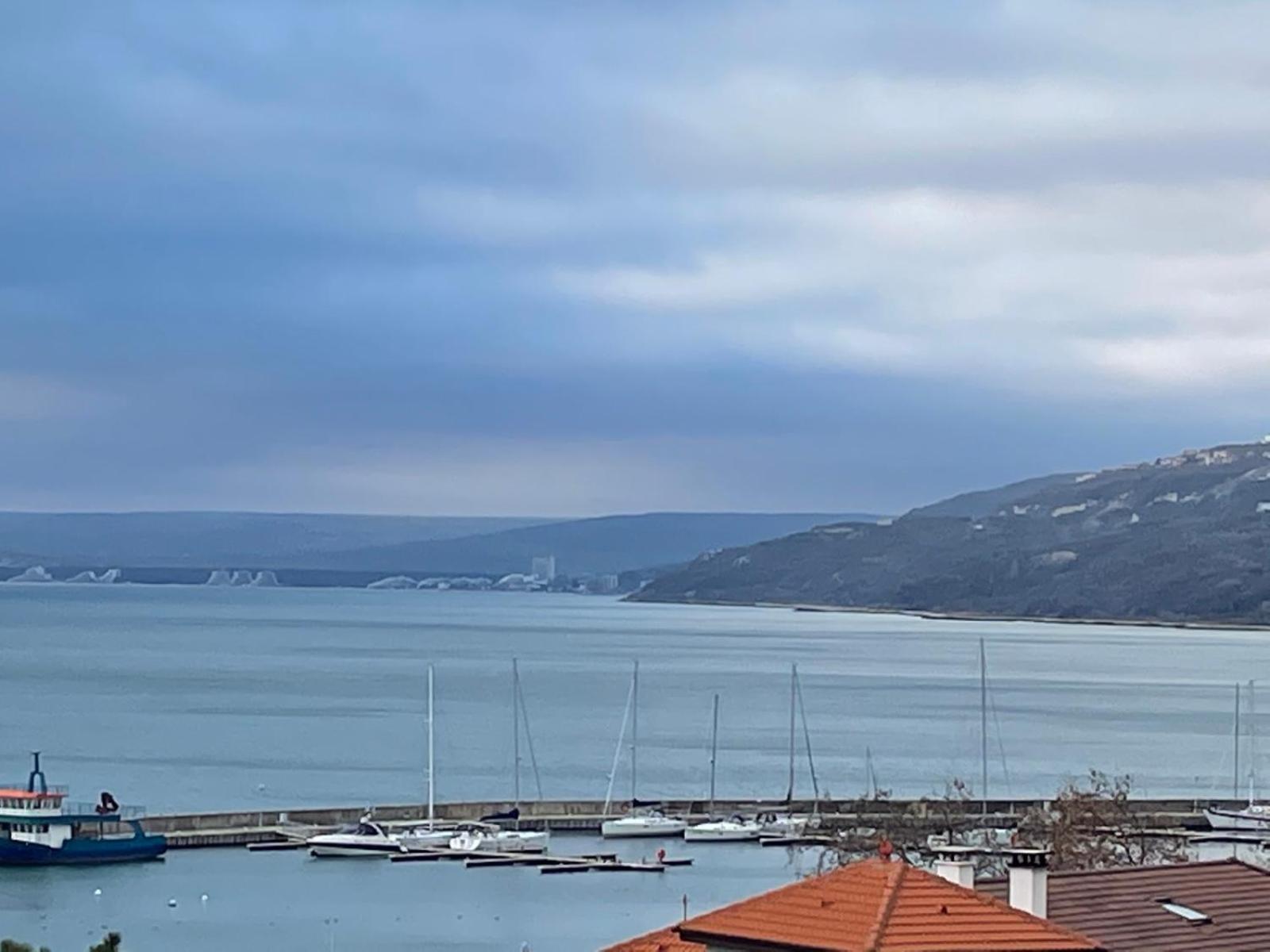 Petar Aparts view 4
