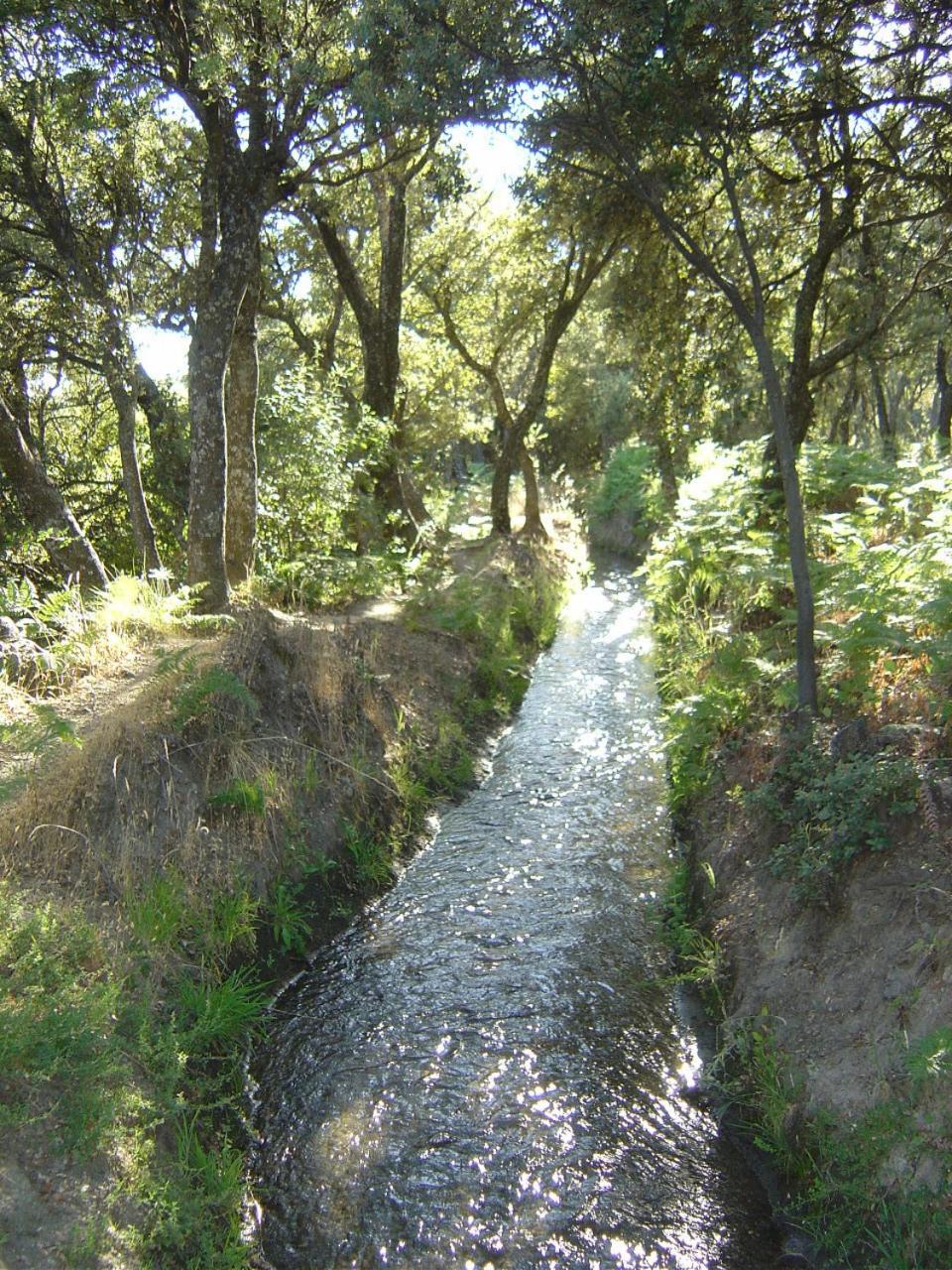 Cortijo Prado Toro