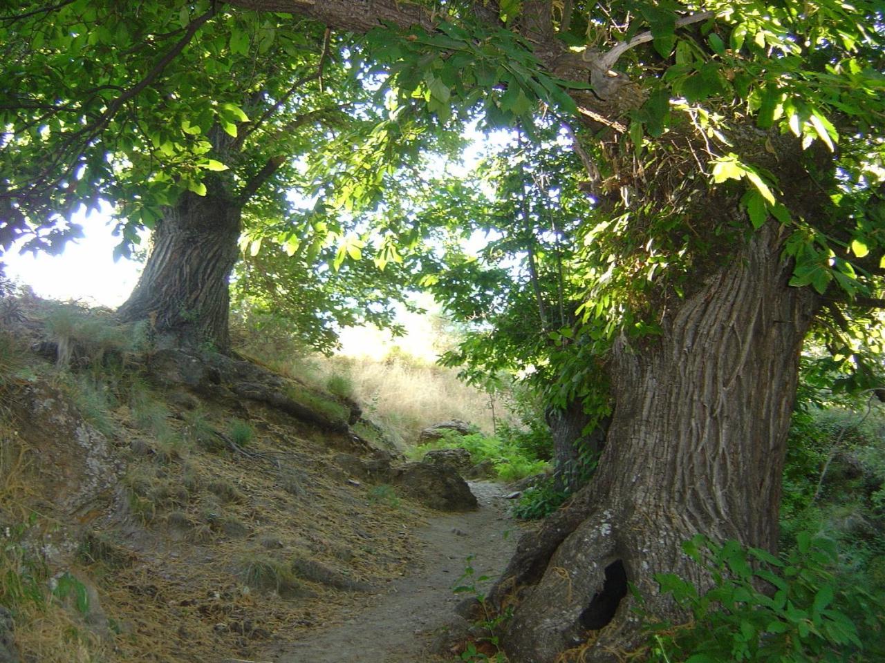 Cortijo Prado Toro