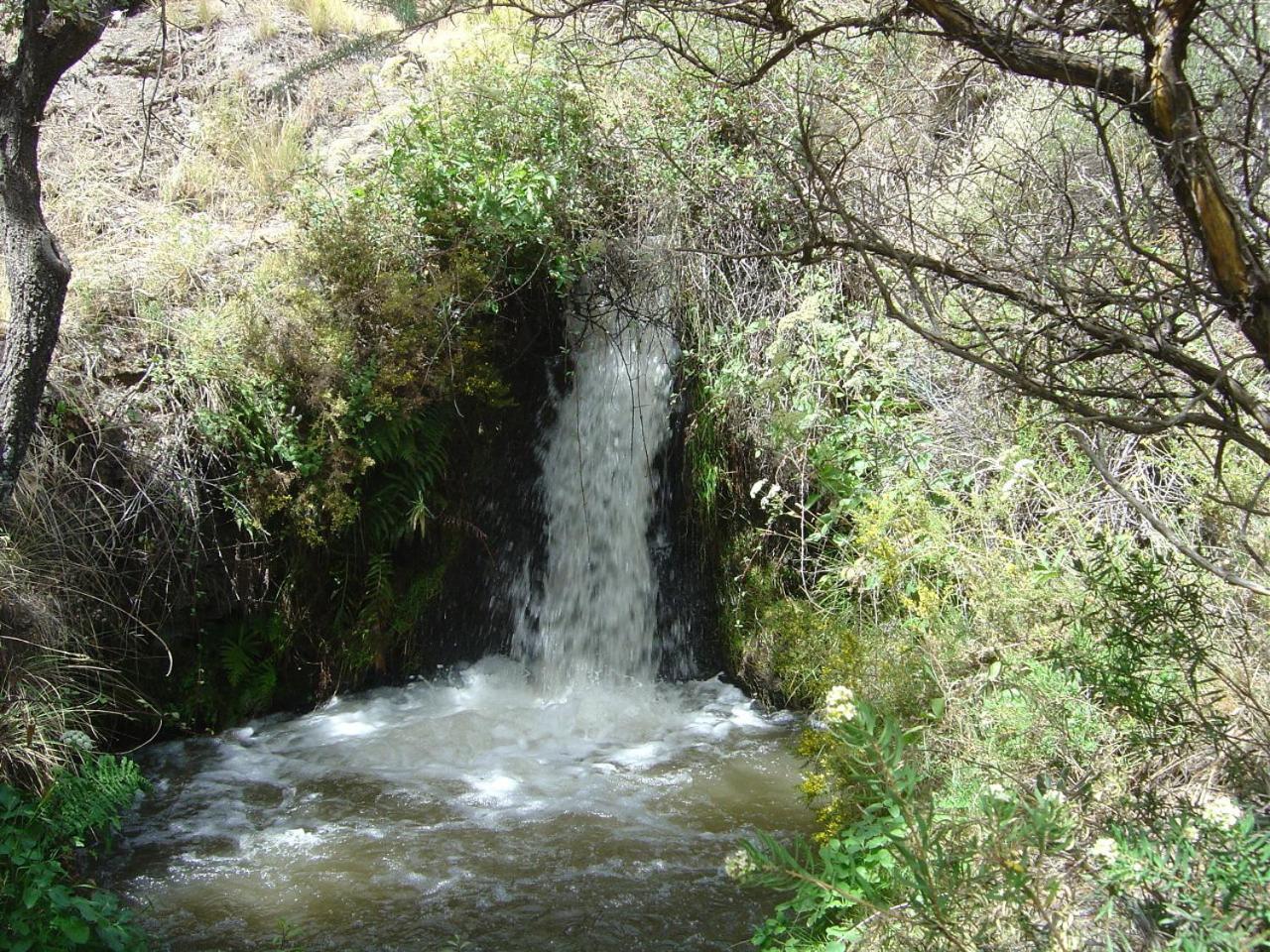 Cortijo Prado Toro