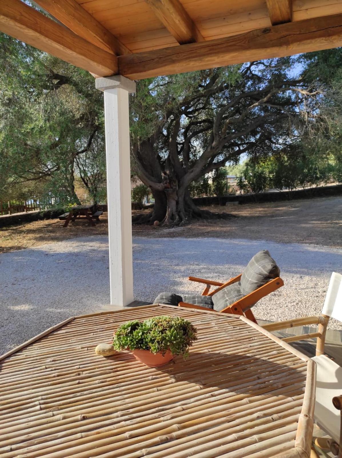 Casa Olivastra view 4