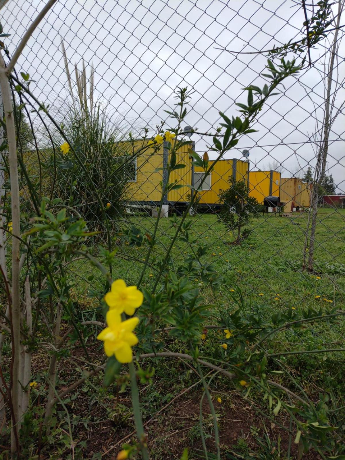 TERRABOX Apart de contenedores