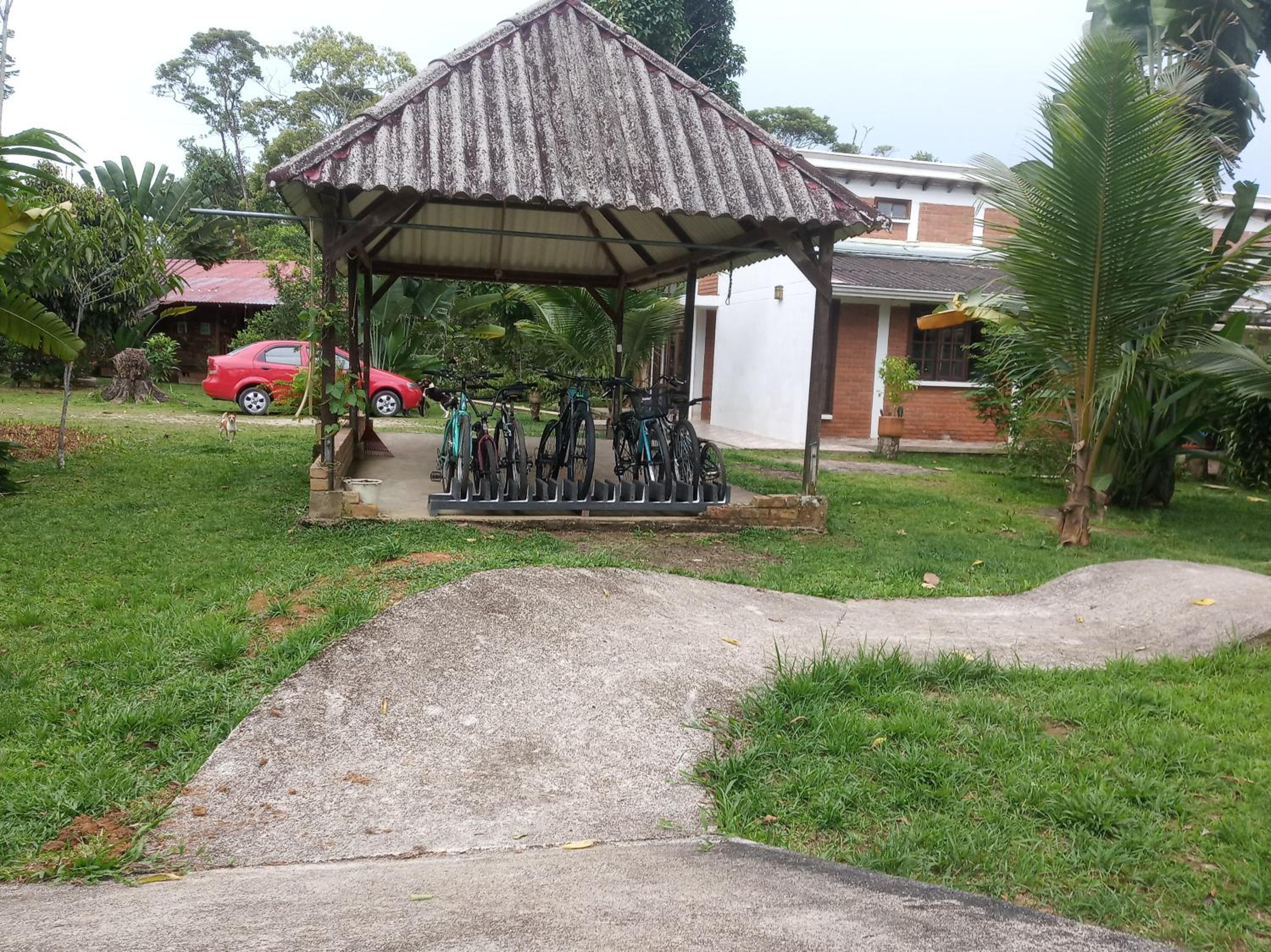 Photo 9