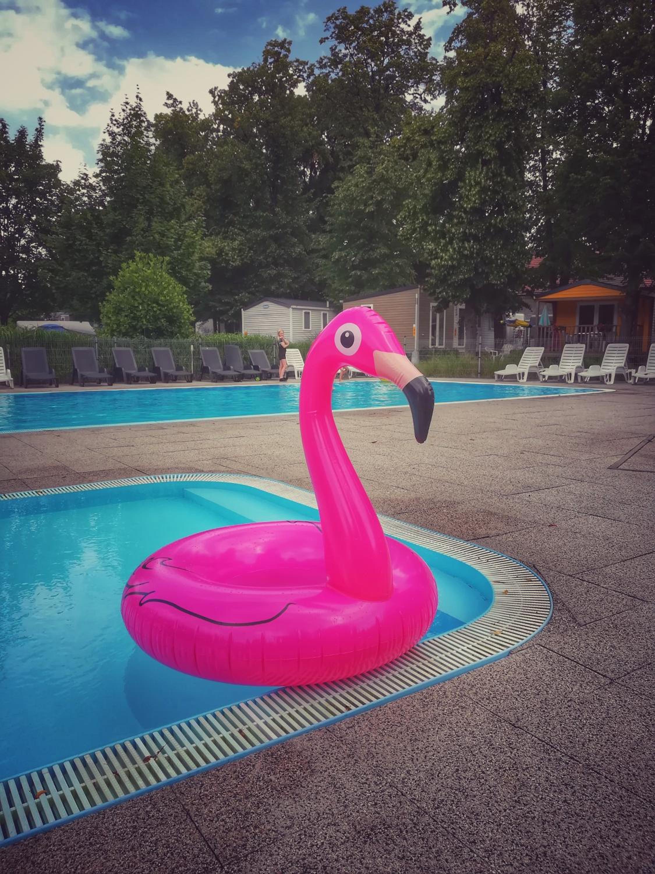 Camping Sokol Praha