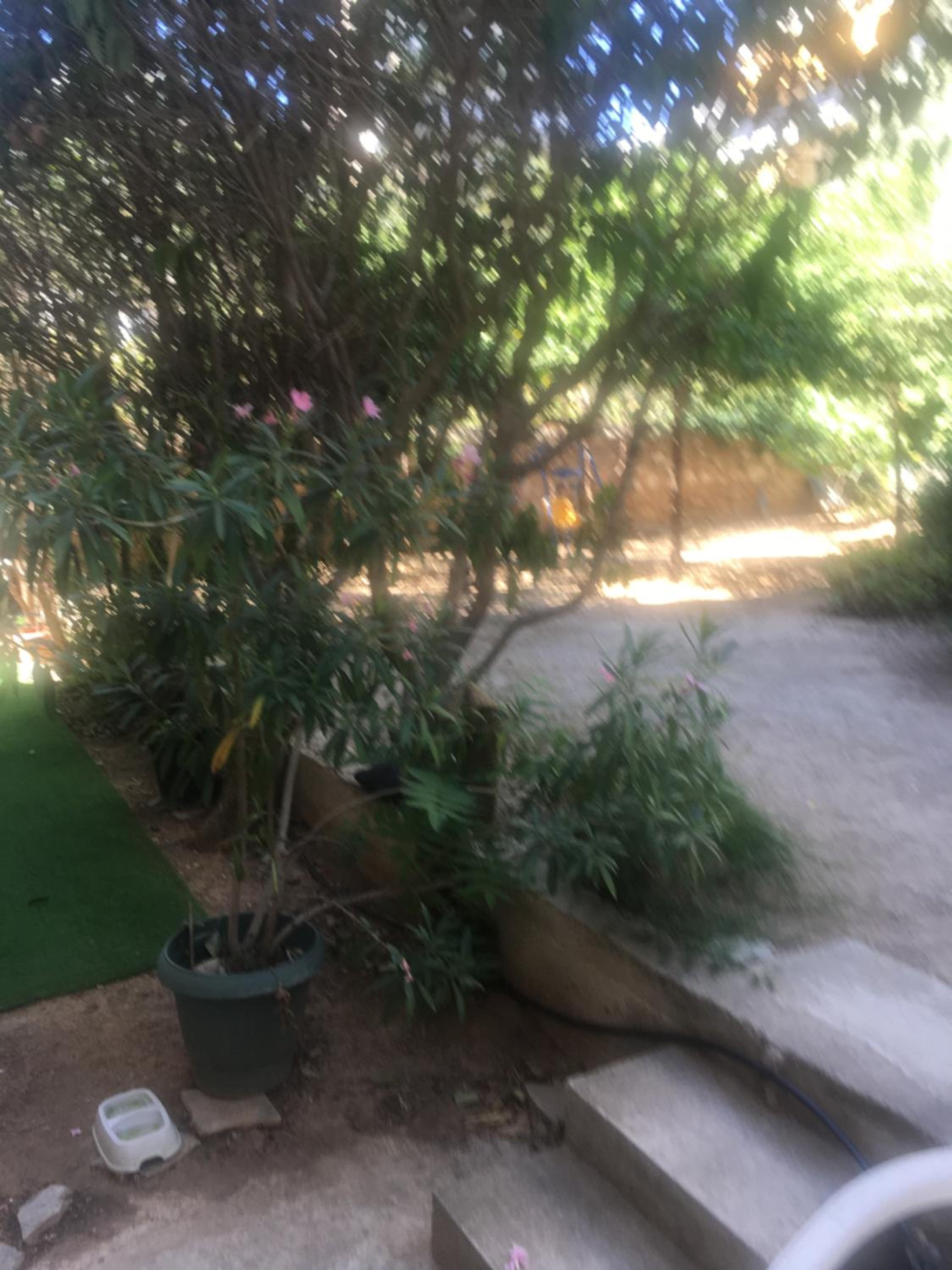 La Vie En Rose Studio,close to beach, Paleo Faliro