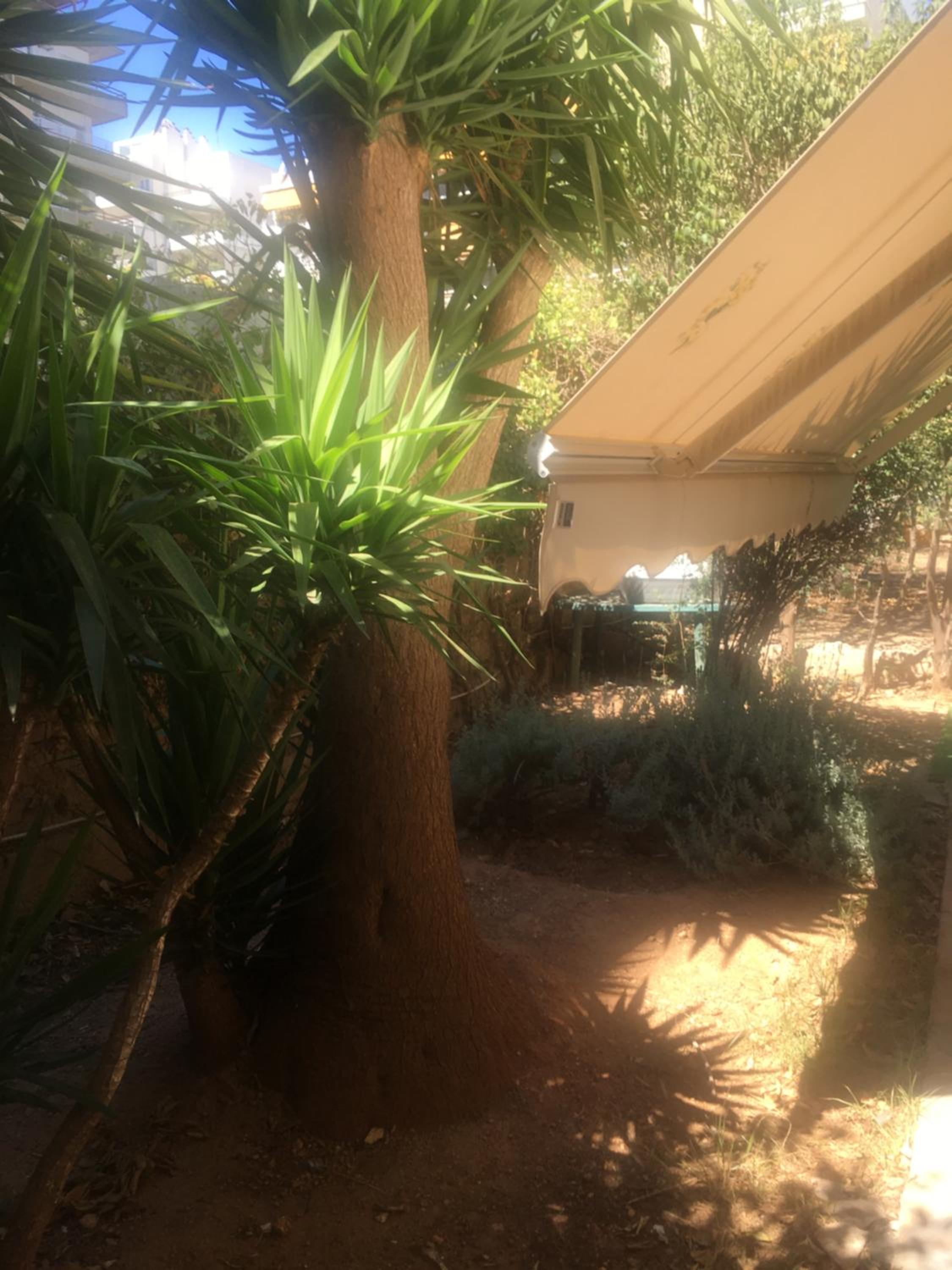 La Vie En Rose Studio,close to beach, Paleo Faliro