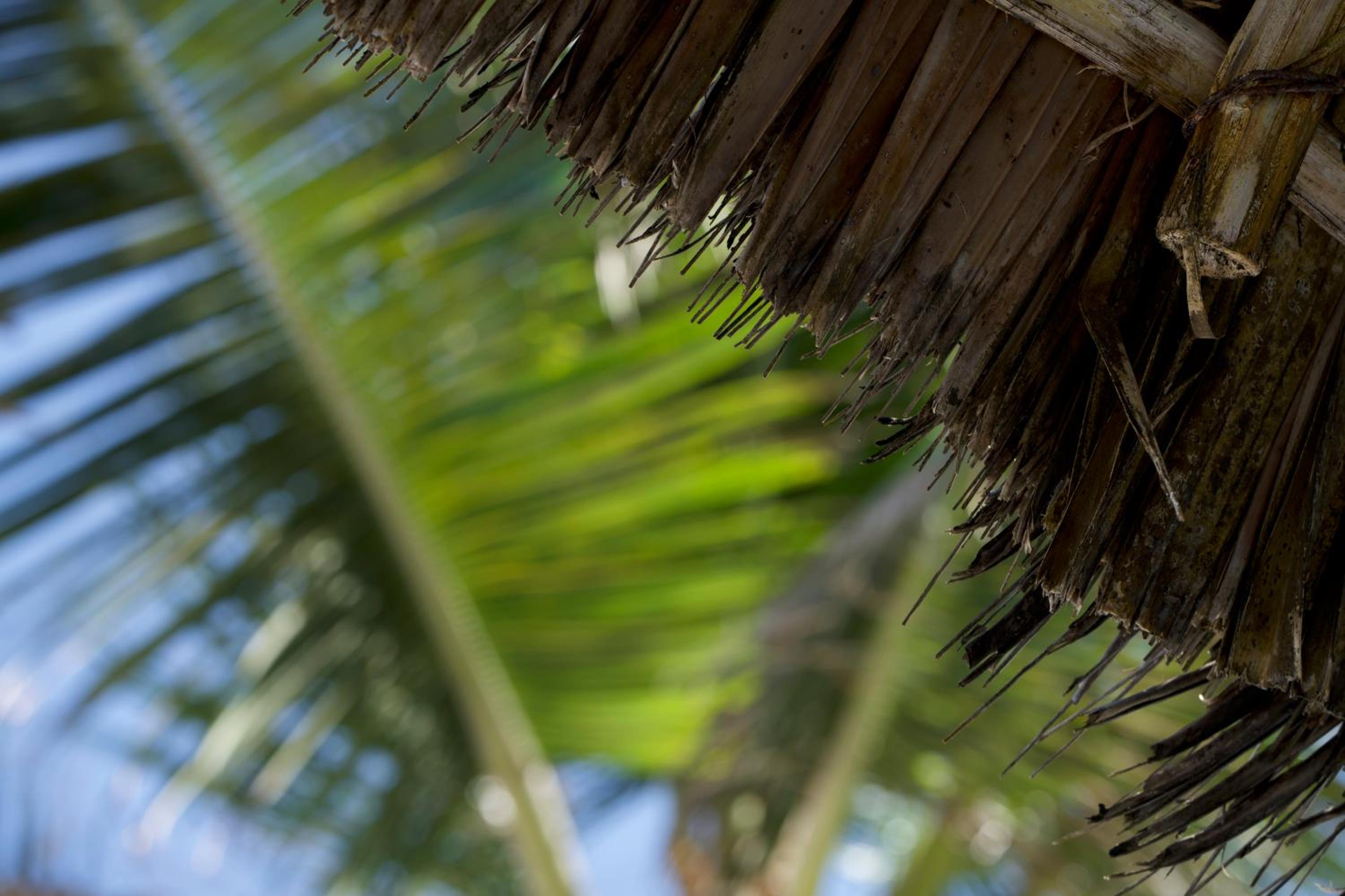 The Mida Creek Hotel