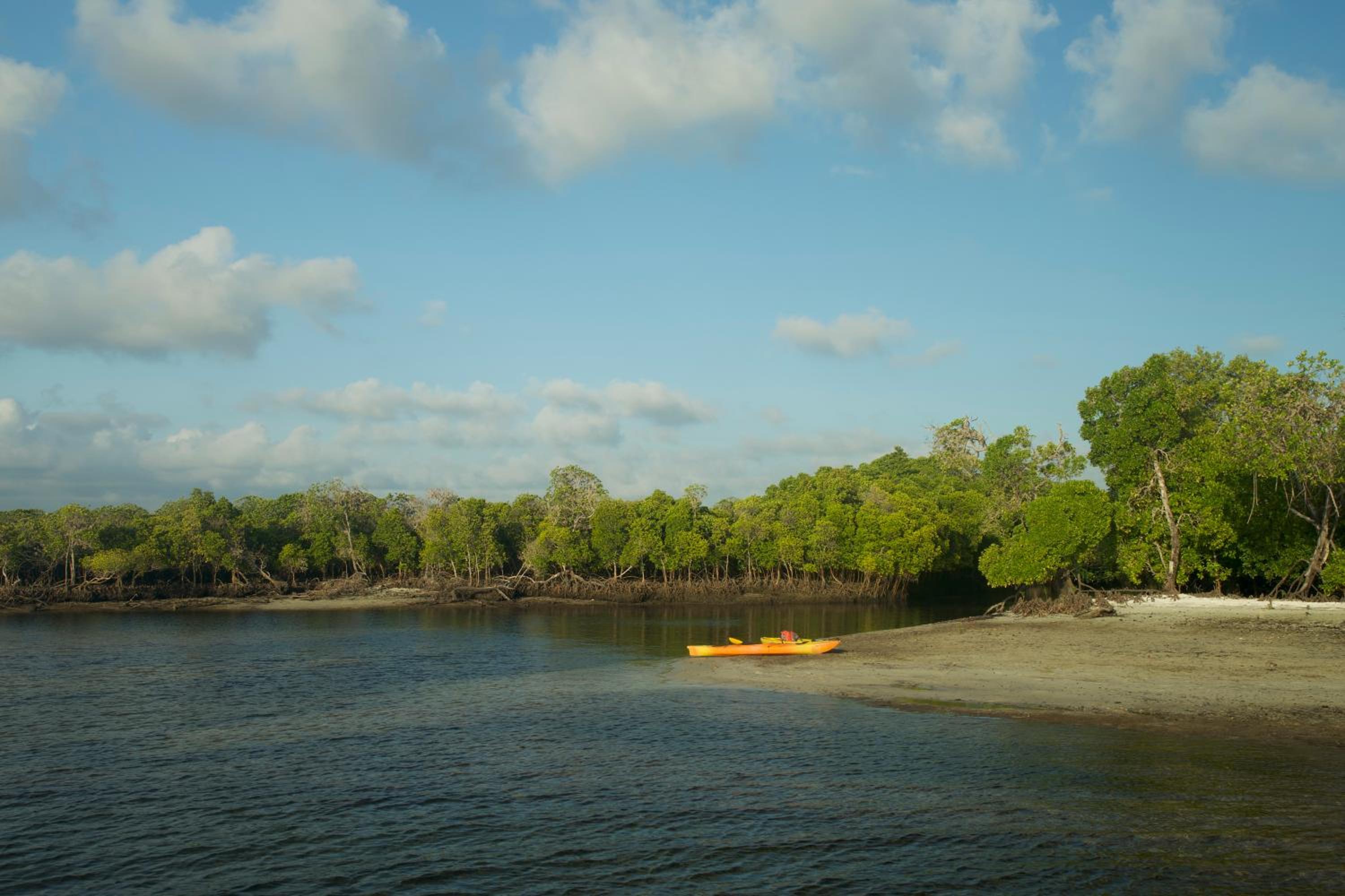 The Mida Creek Hotel