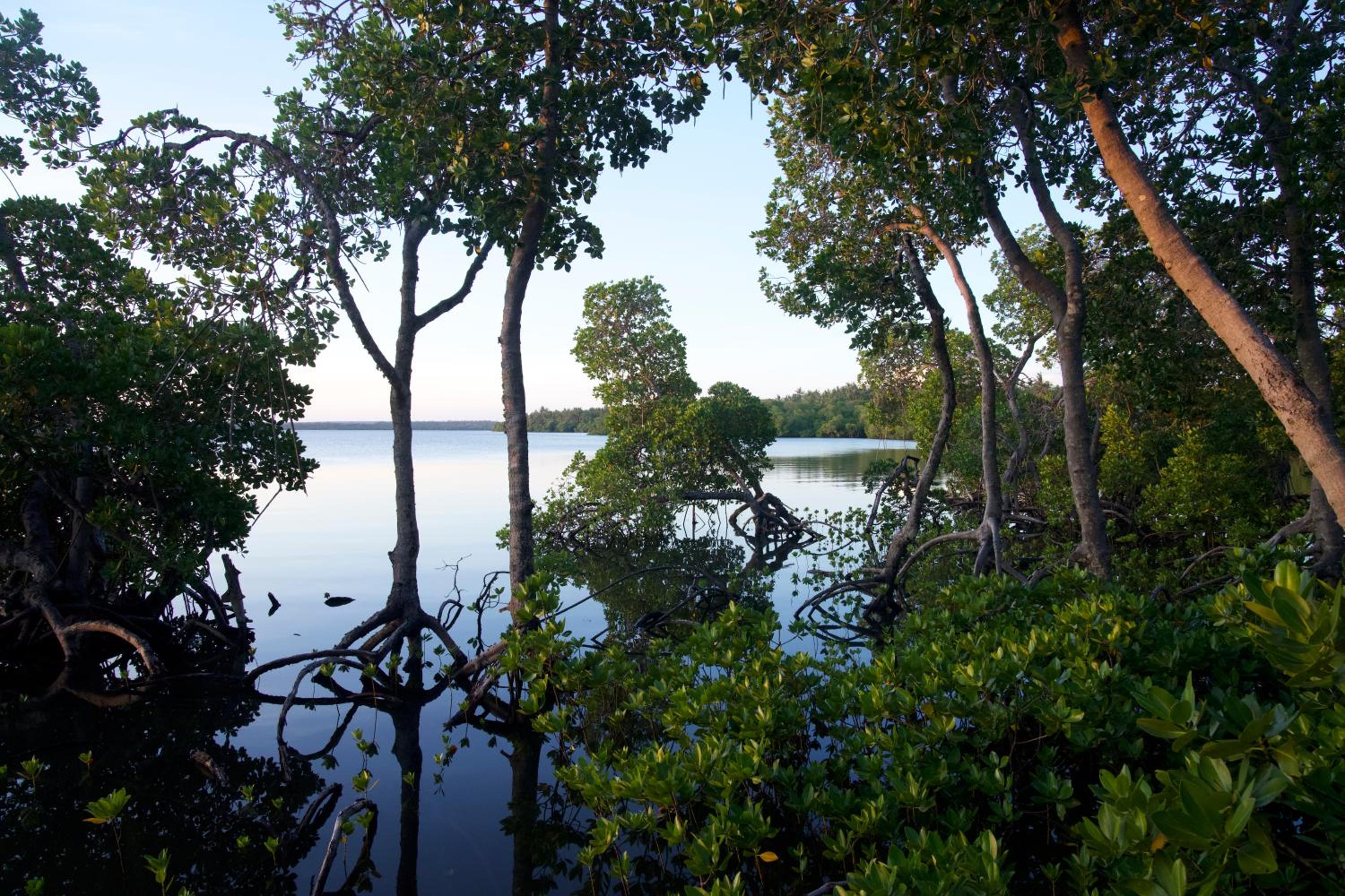 The Mida Creek Hotel