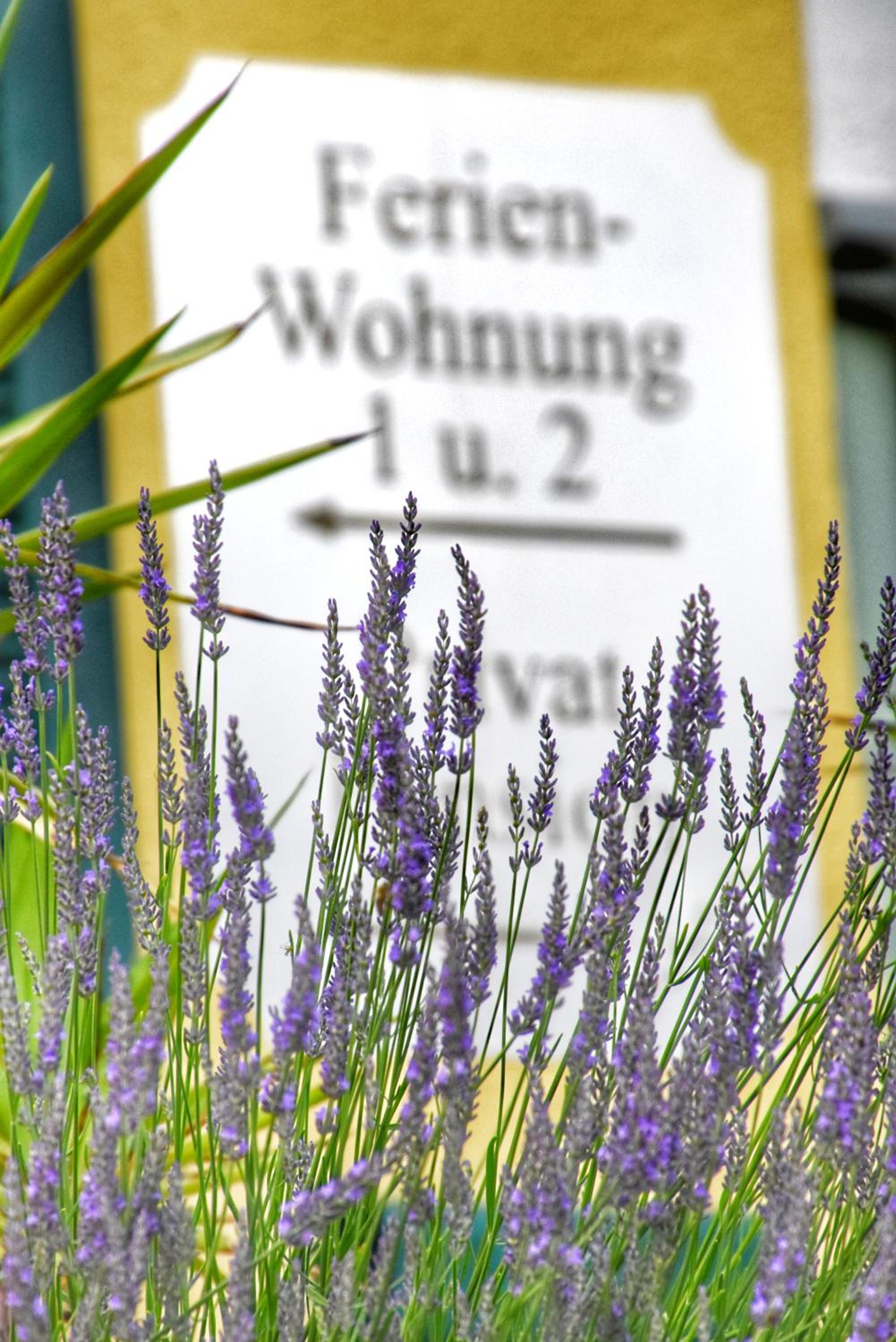 Pension Thermenland