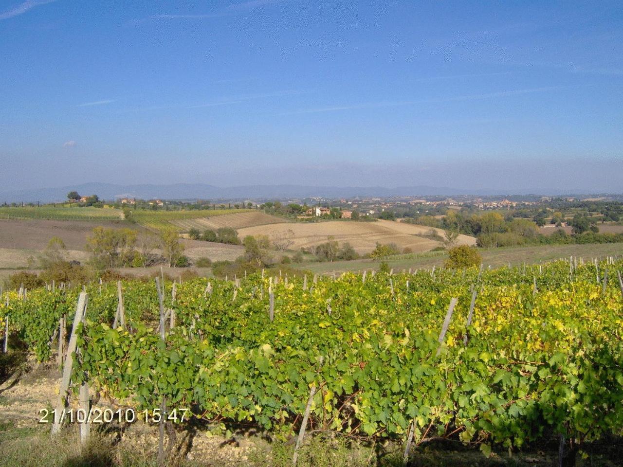 Tenuta Santagnese