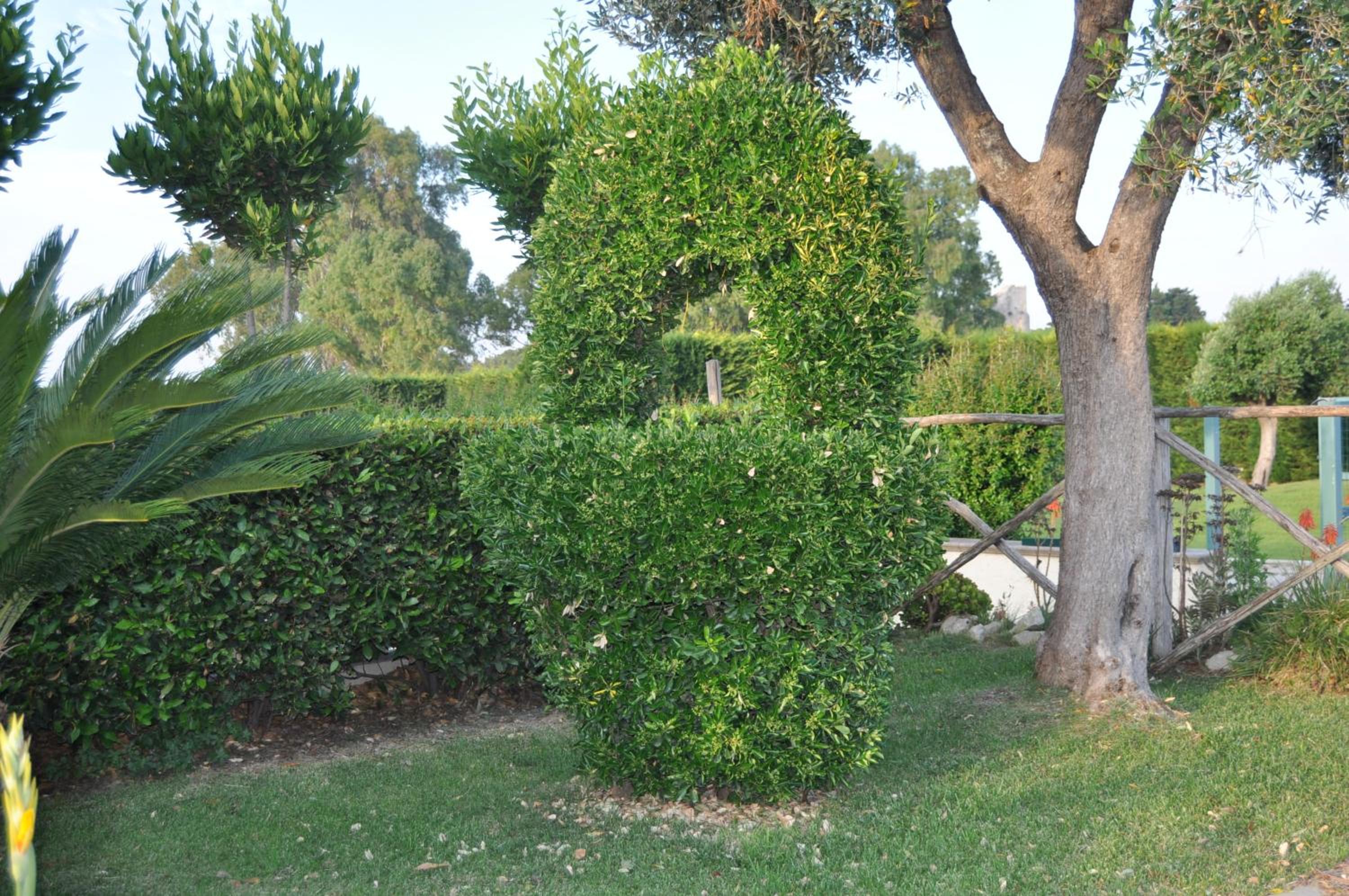 Photo 110