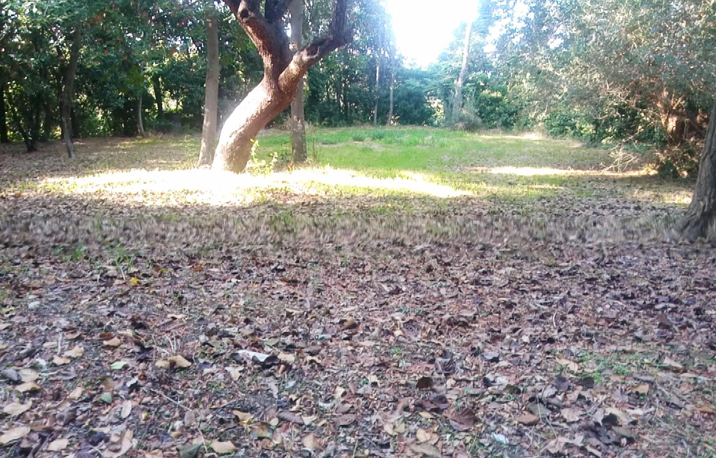 Photo 55