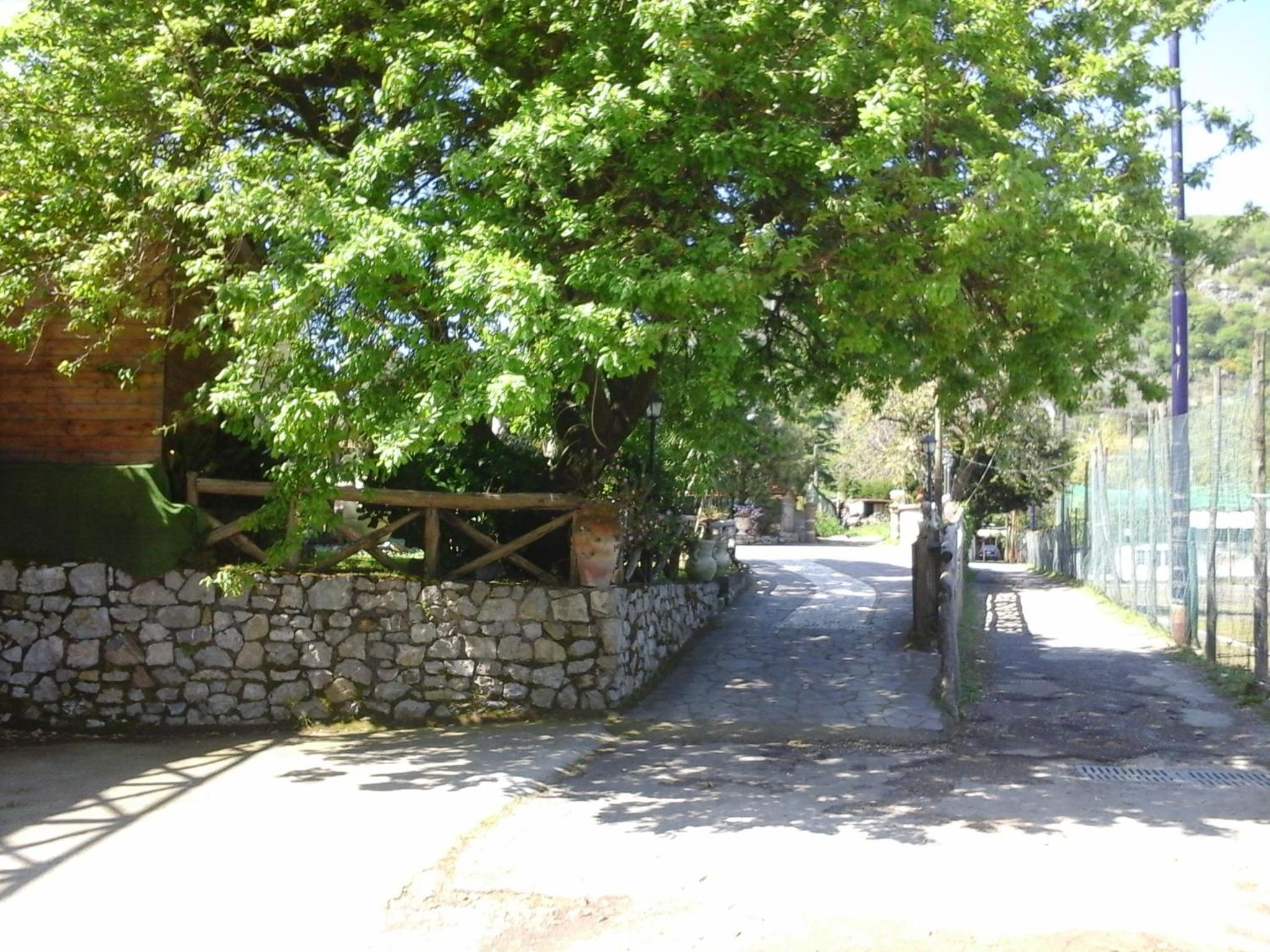 Photo 44