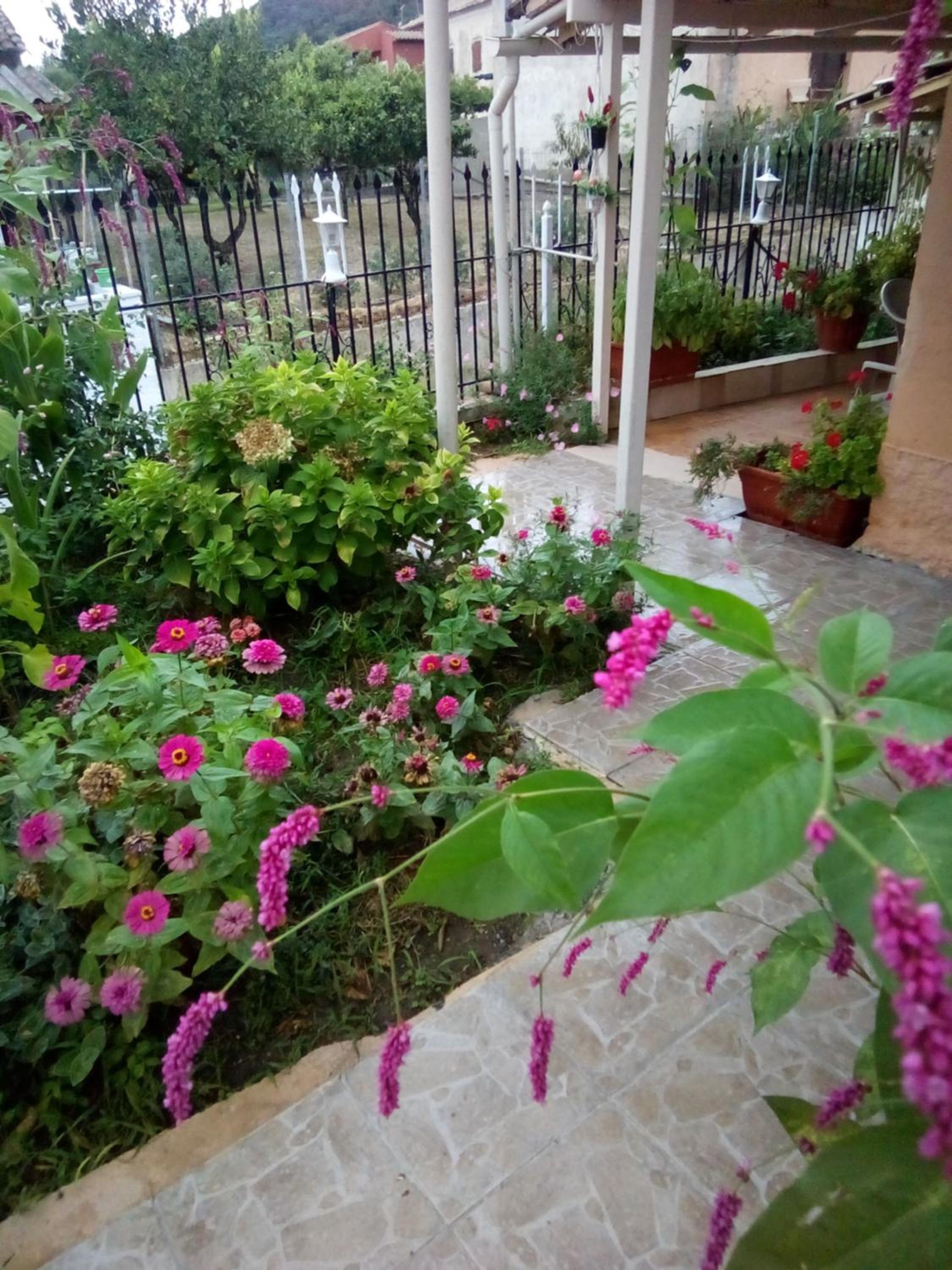 Photo 29