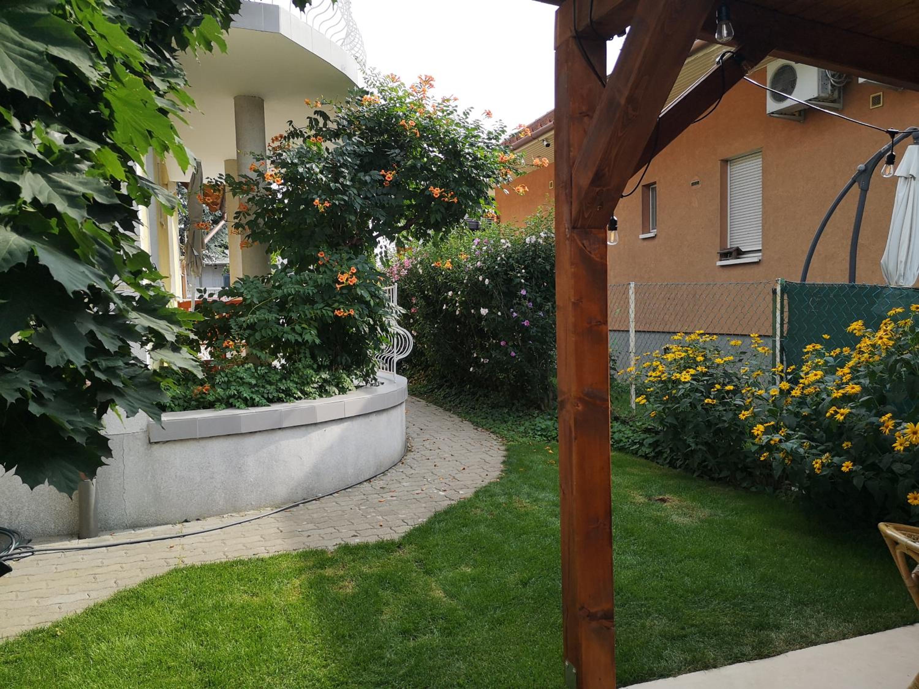Photo 235