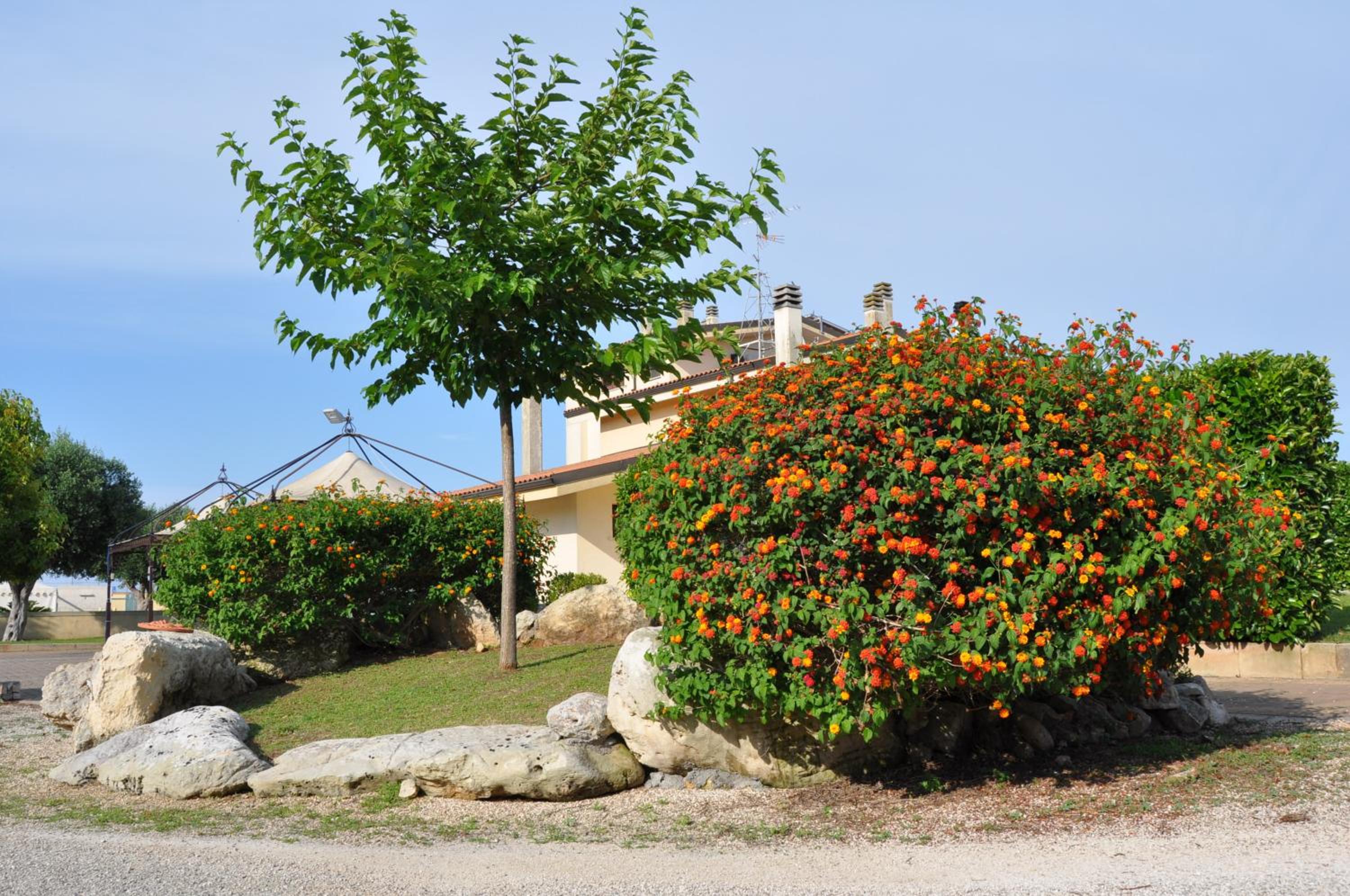 Photo 46