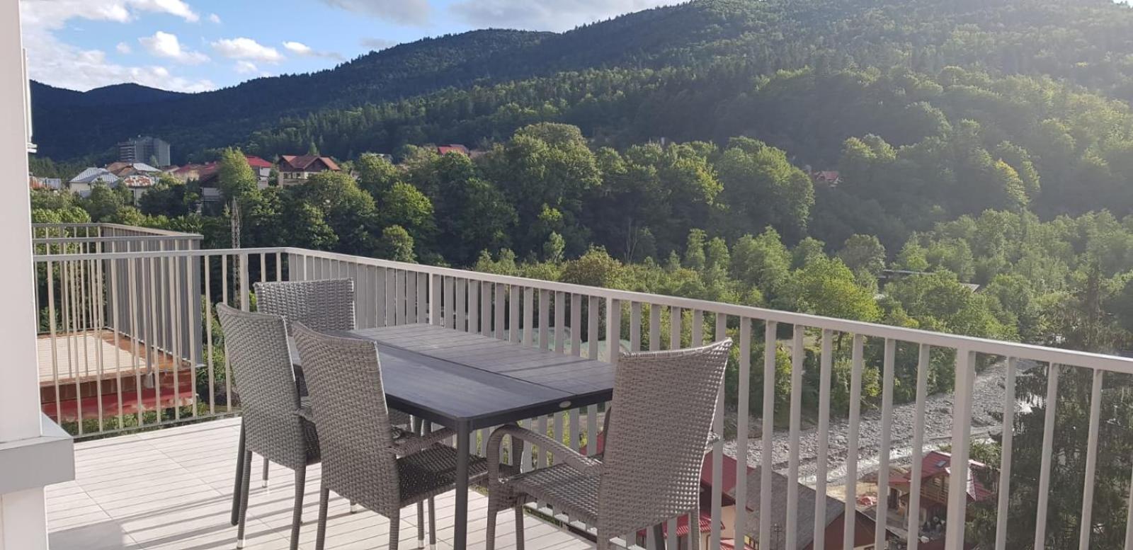 Elite Apartments Sinaia view 4