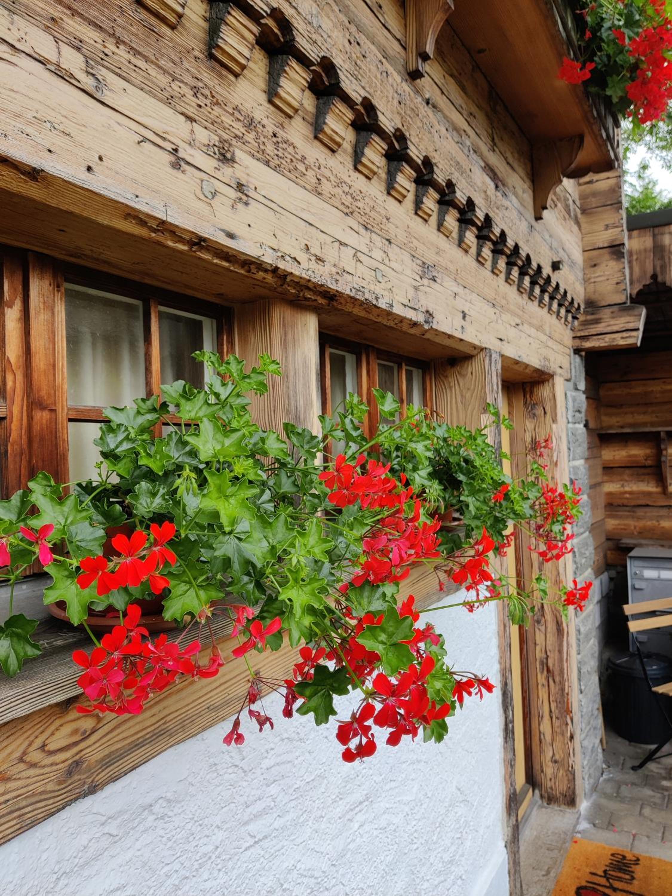 Studio FranGiò