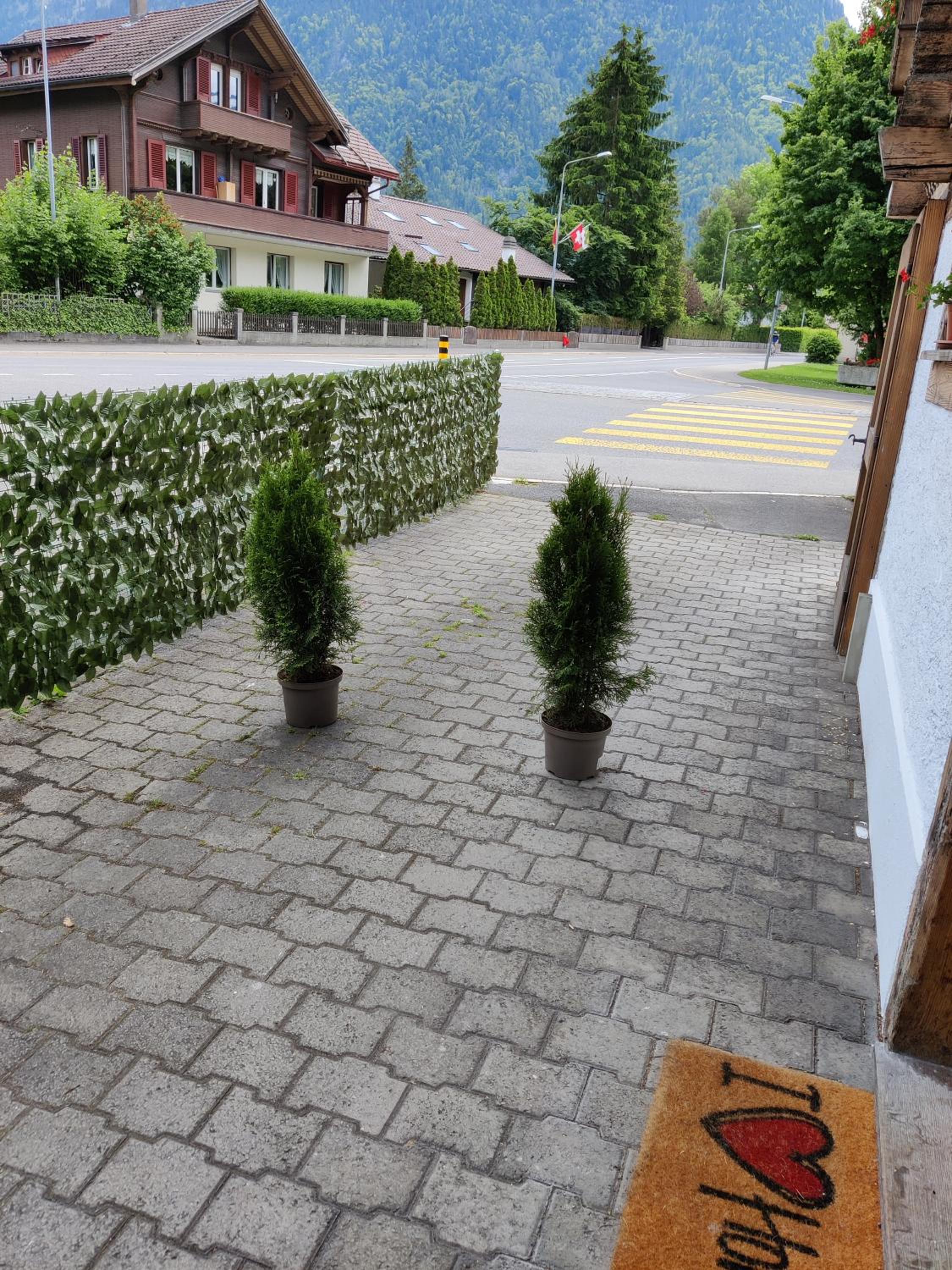 Photo 8