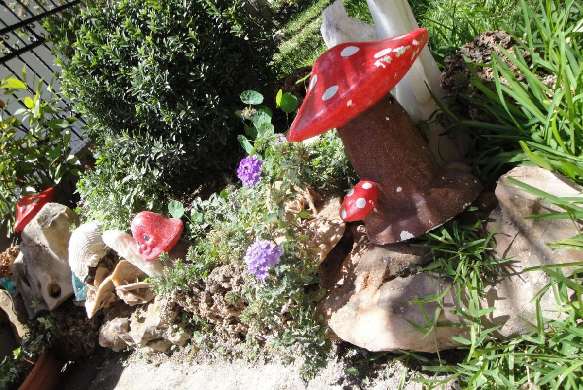 Photo 13