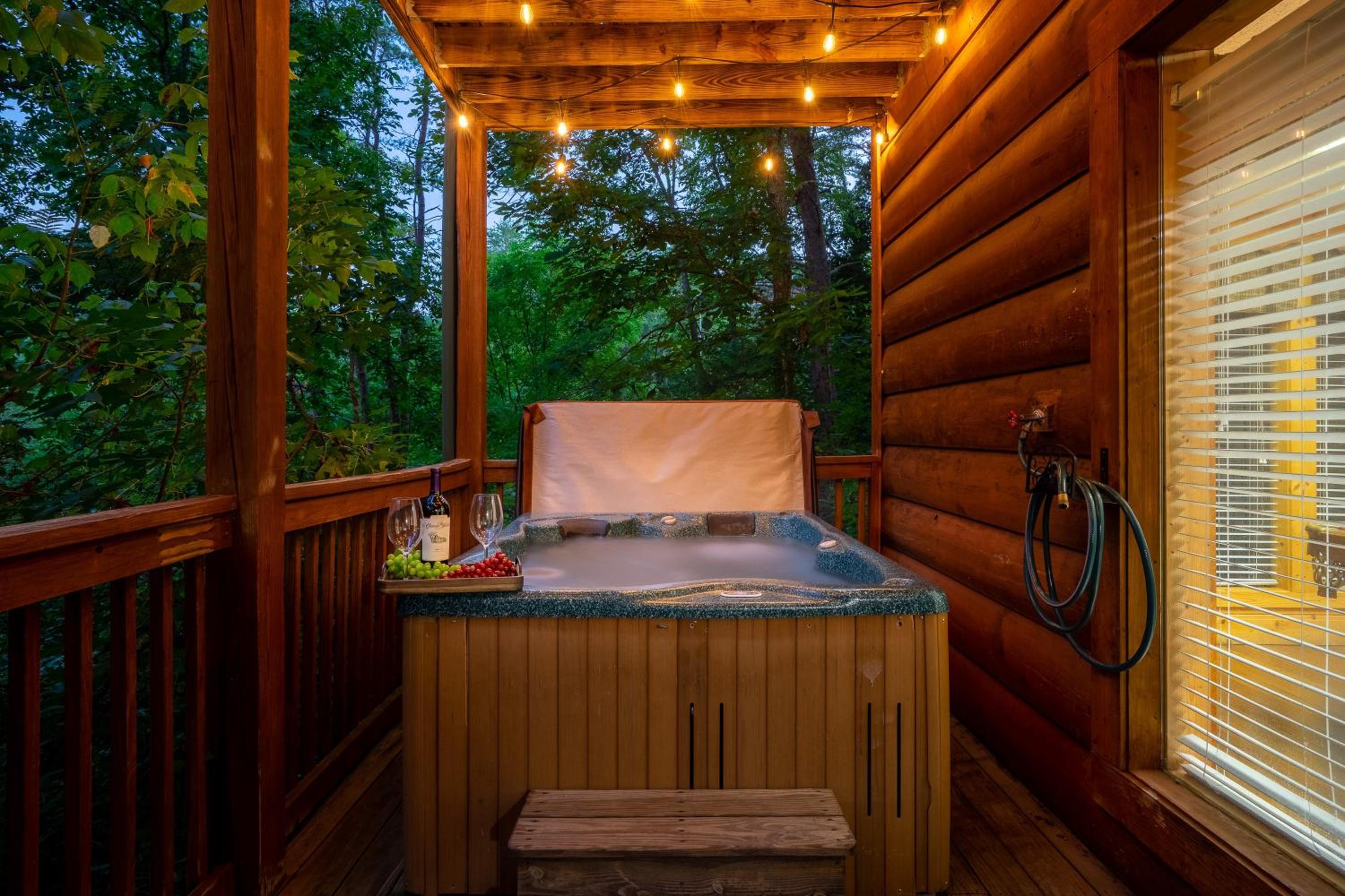 Cozy log cabin!! In heart of PF & close to the Smokies view 2