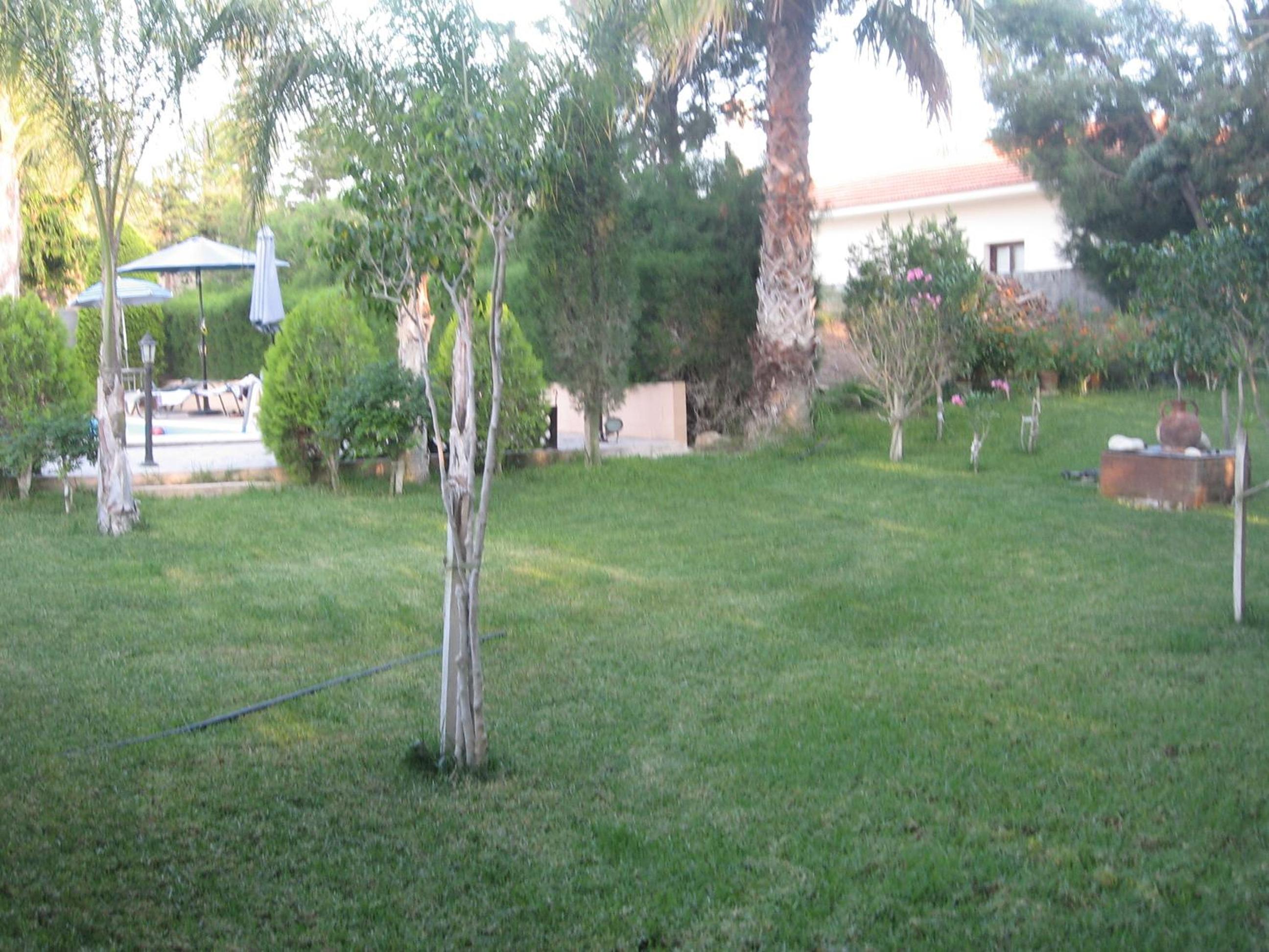 Photo 66