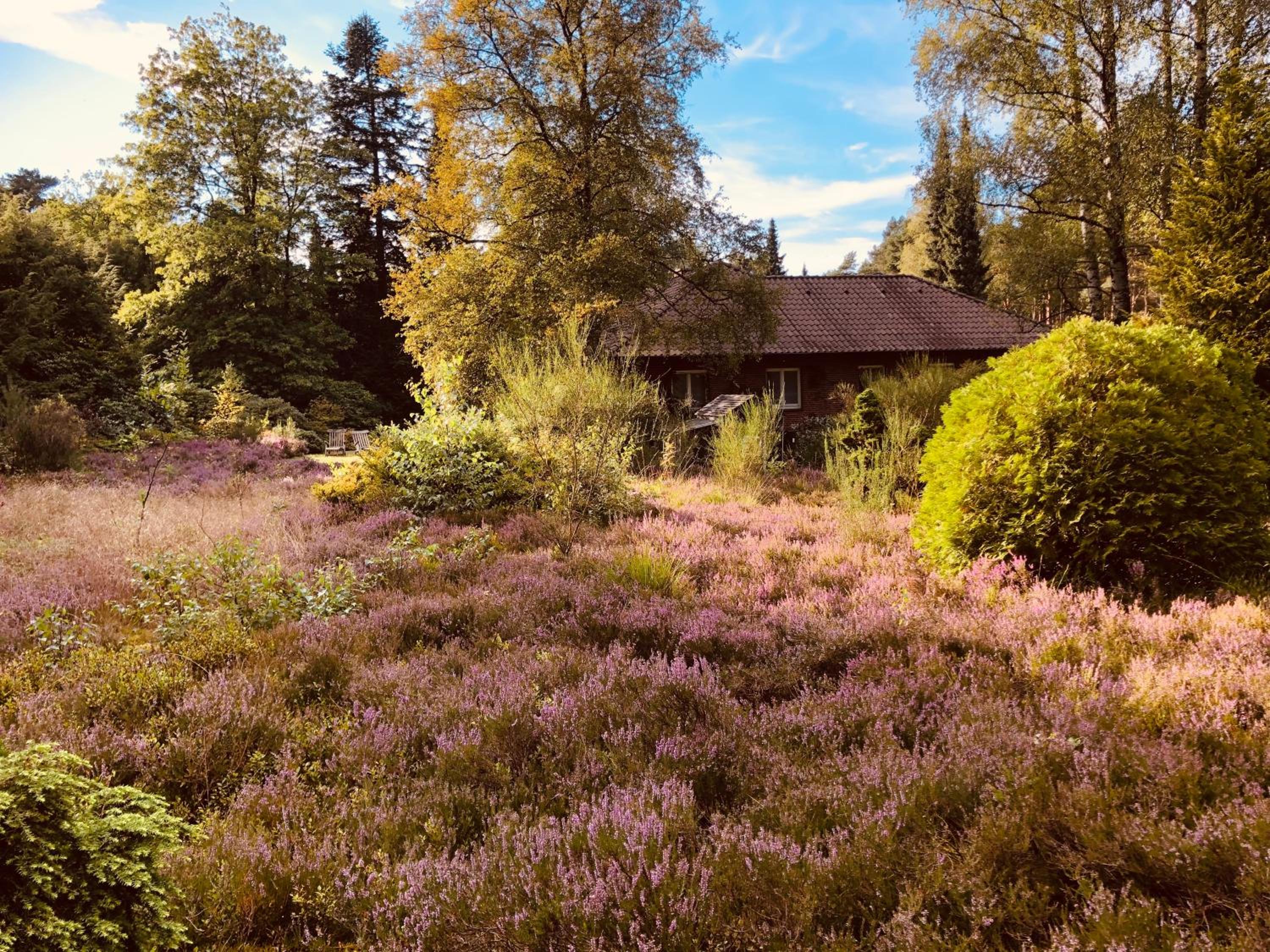 Landhaus mitten in der Lüneburger Heide view 3
