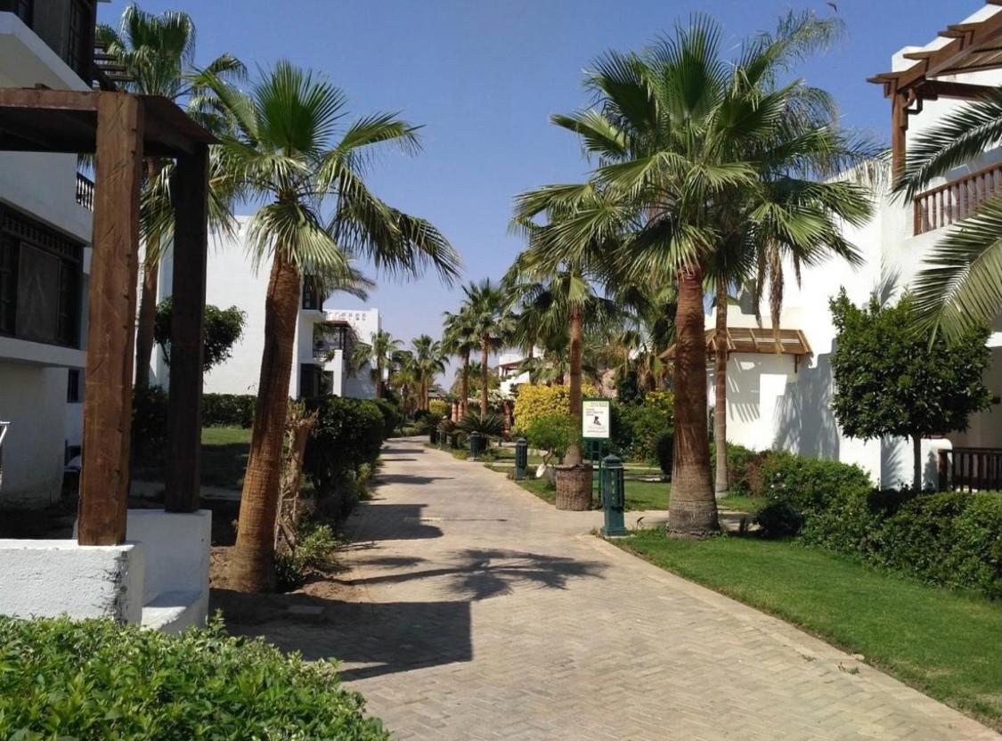 Delta Sharm Holiday