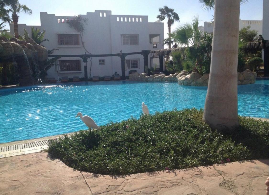 Delta Sharm Holiday