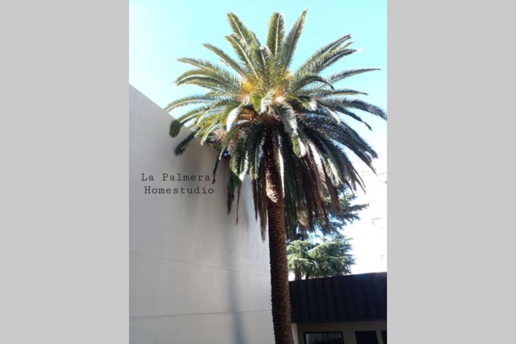La Palmera Homestudio. Hermoso apartamento en el corazón de Palermo Hollywood