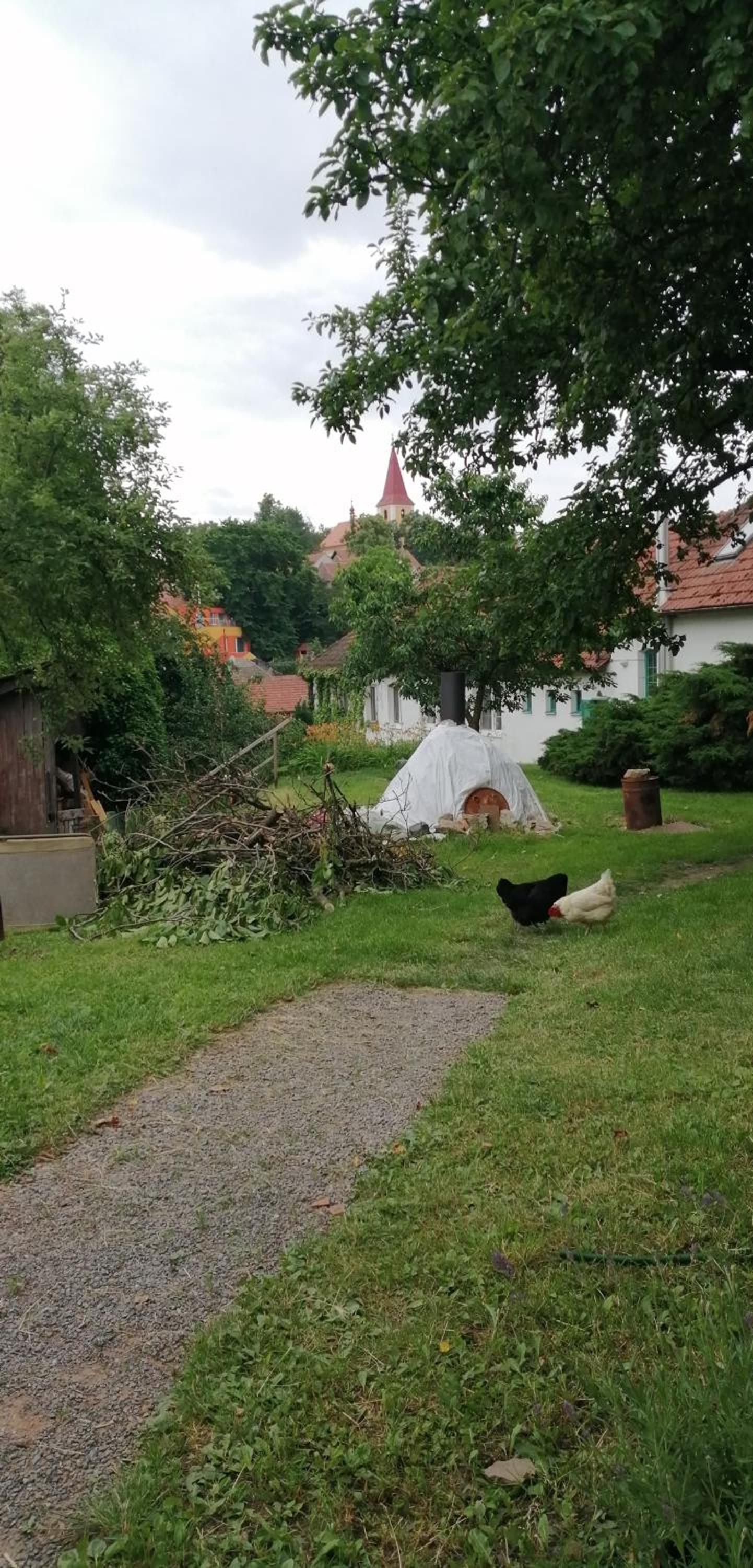 Photo 19