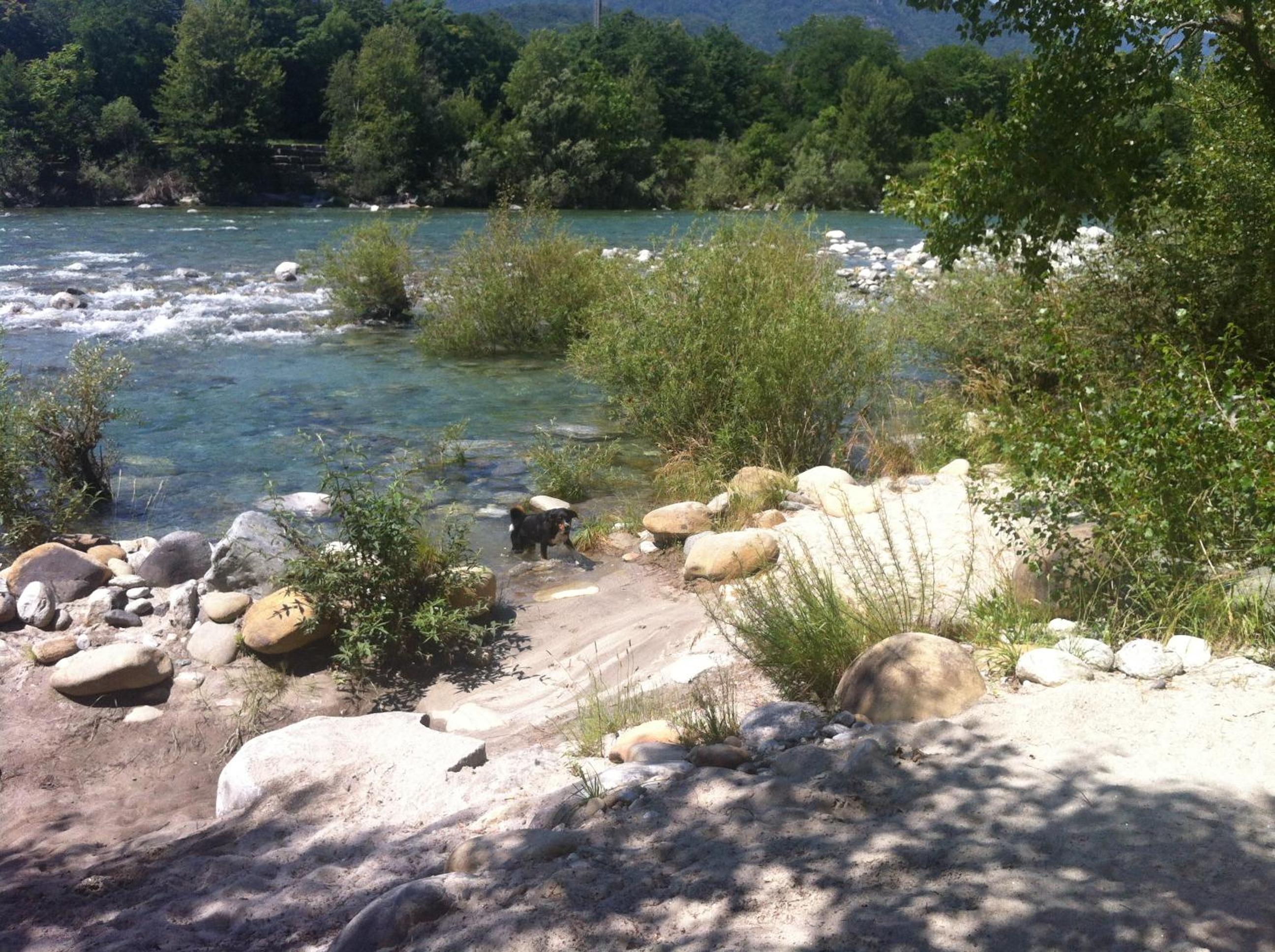Photo 12