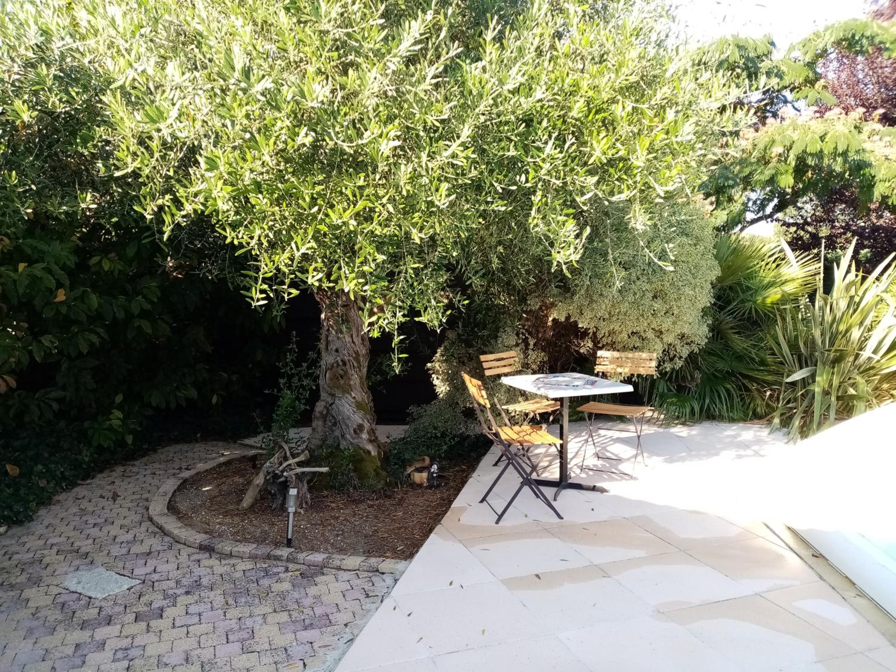 l'Eden naturiste écureuil, photo 21