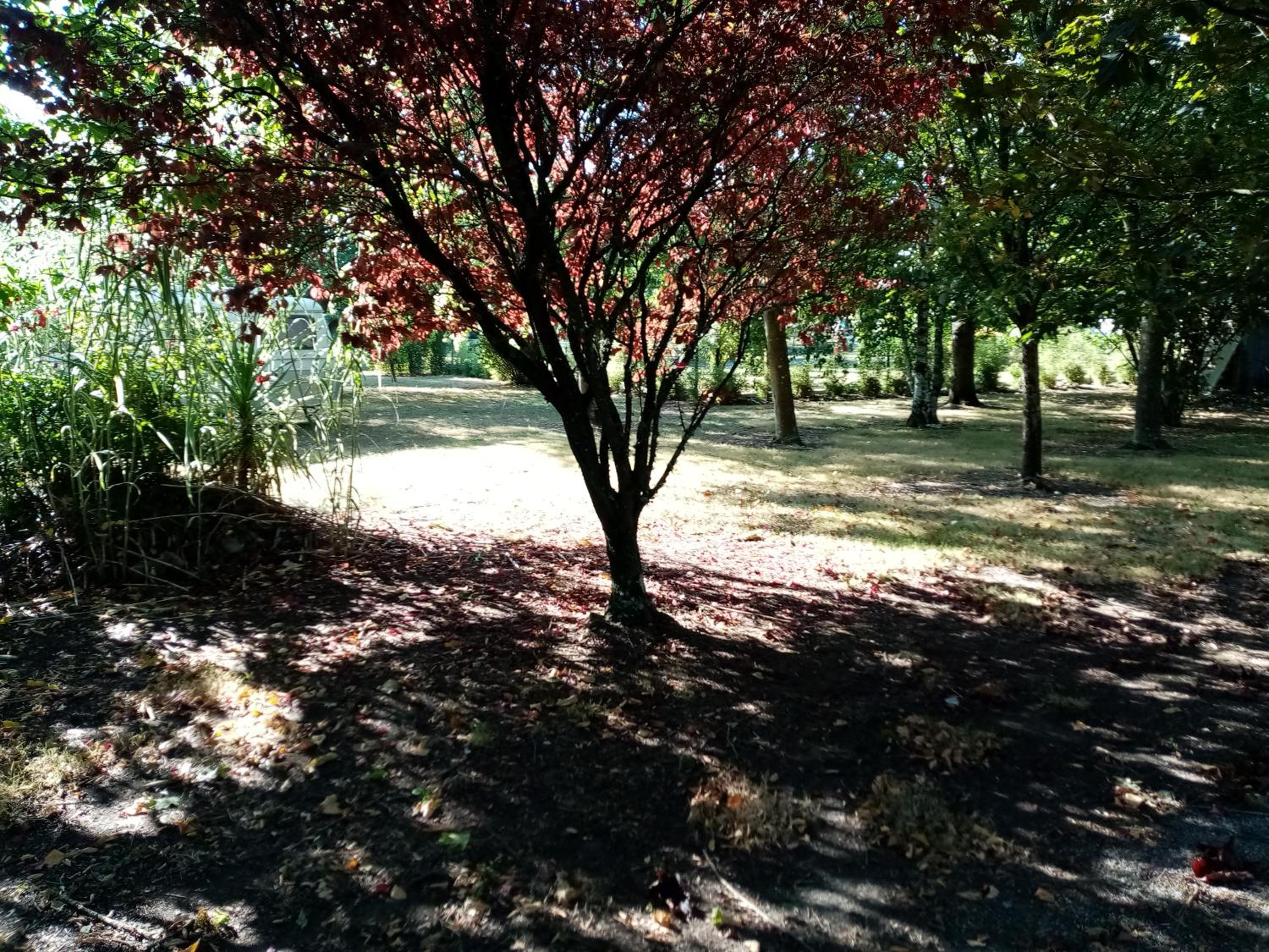 l'Eden naturiste écureuil, photo 17